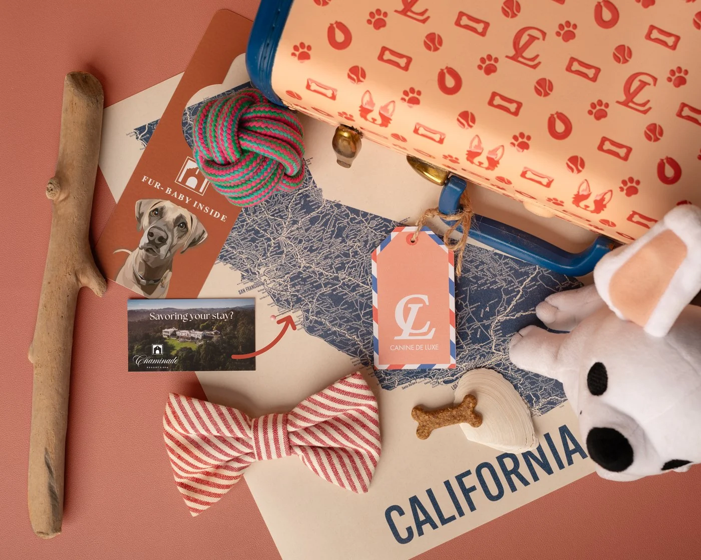 Various dog-related items on a pink background, including a plush toy, a dog treat, a bowtie, a bandana, a striped rope toy, a piece of driftwood, a map of California, promotional materials, and a cute dog tag with the logo 'Canine de Luxe'.