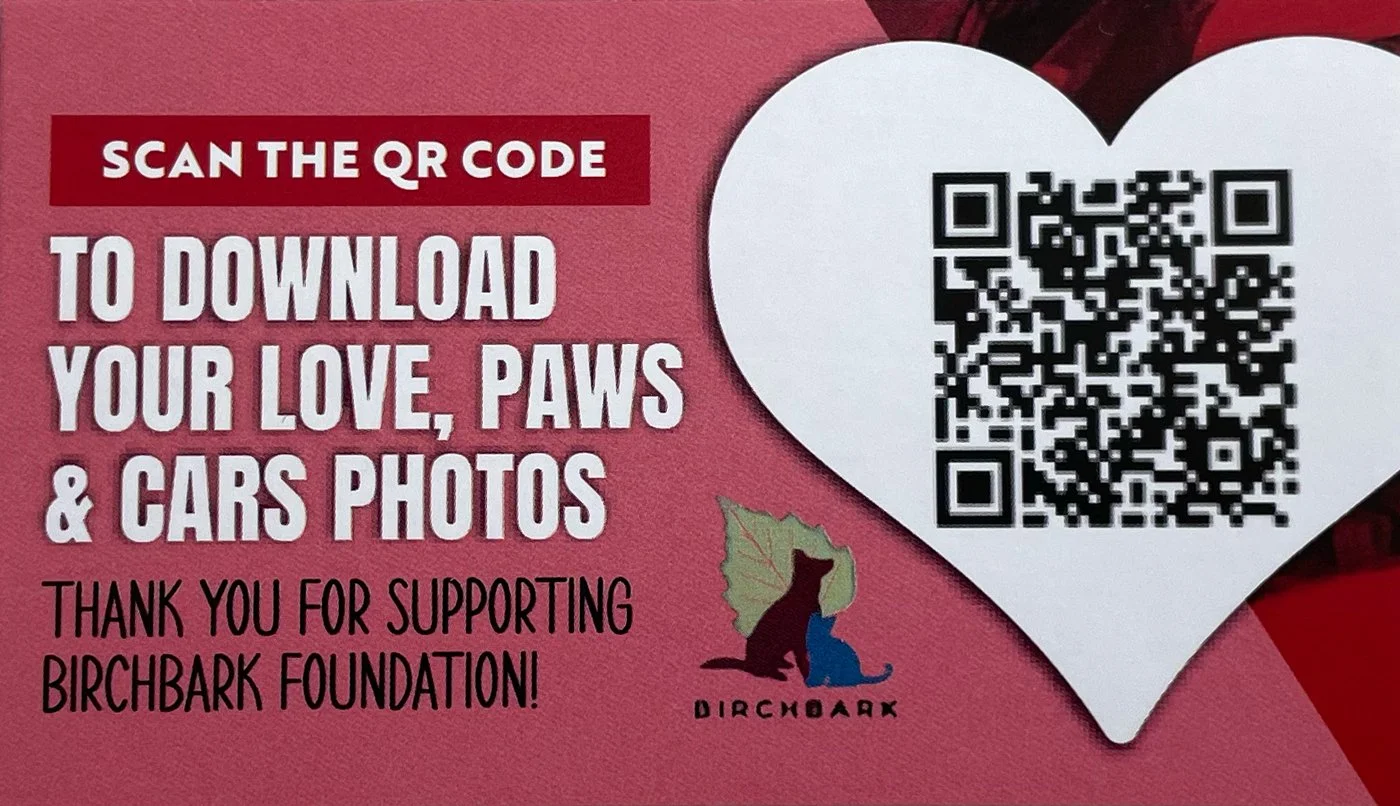 A pink card with a large white heart containing a QR code. Text on the card says: 'Scan the QR code to download your love, paws & cars photos. Thank you for supporting Birchbark Foundation!' with a small logo of a black cat, a leaf, and a blue mouse.
