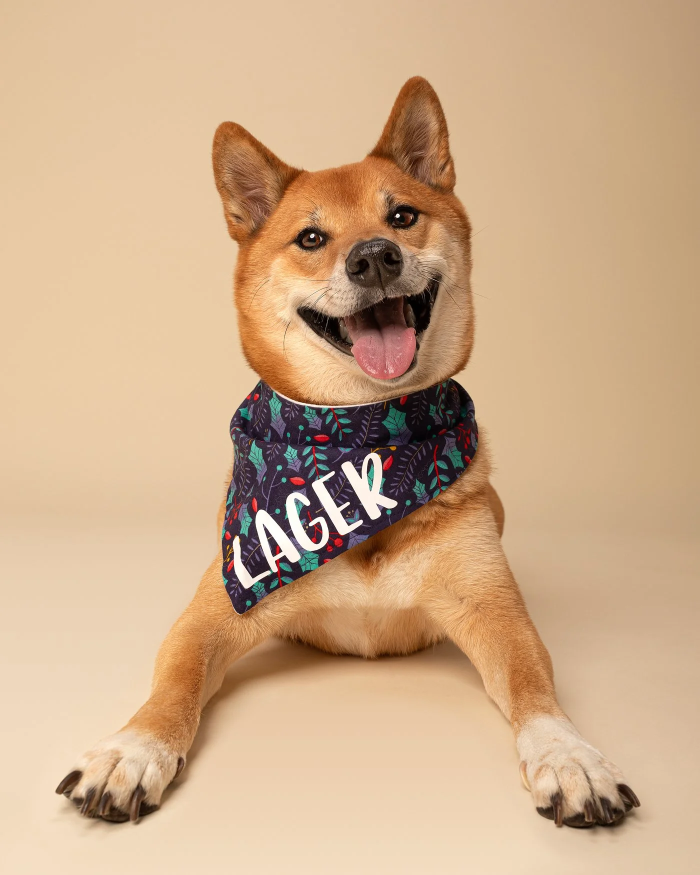 Lager dog photography shiba inu smile