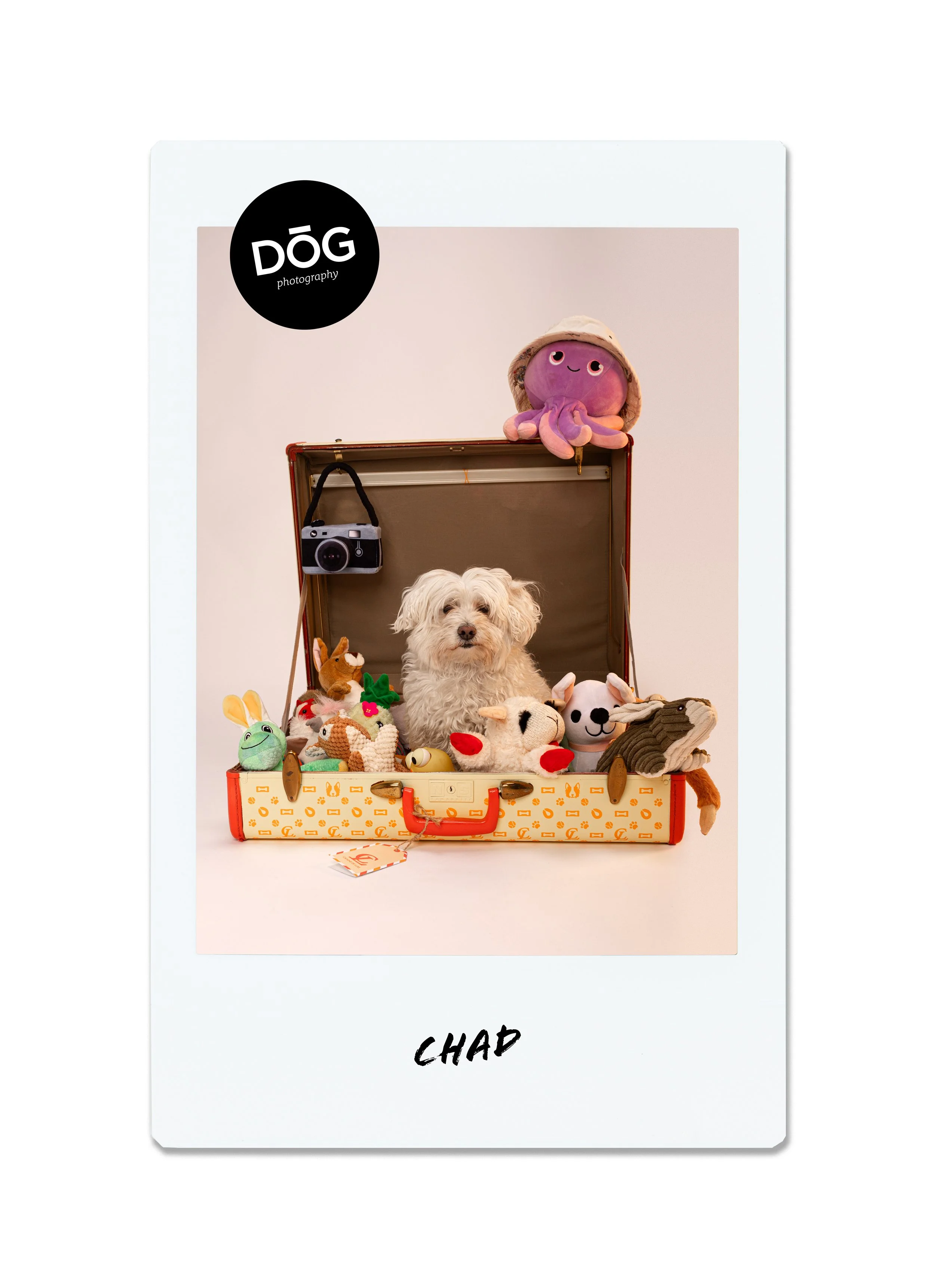 A small white dog sitting inside an open orange and cream suitcase surrounded by stuffed animals, including a pink octopus, a green frog, a brown dog, and a white lamb; a vintage camera hangs from the suitcase; a plush octopus with a hat sits atop the suitcase; a Polaroid-style photo frame with the name 'Chad' written at the bottom and a black circle with white text 'DOG photography' in the top left corner.