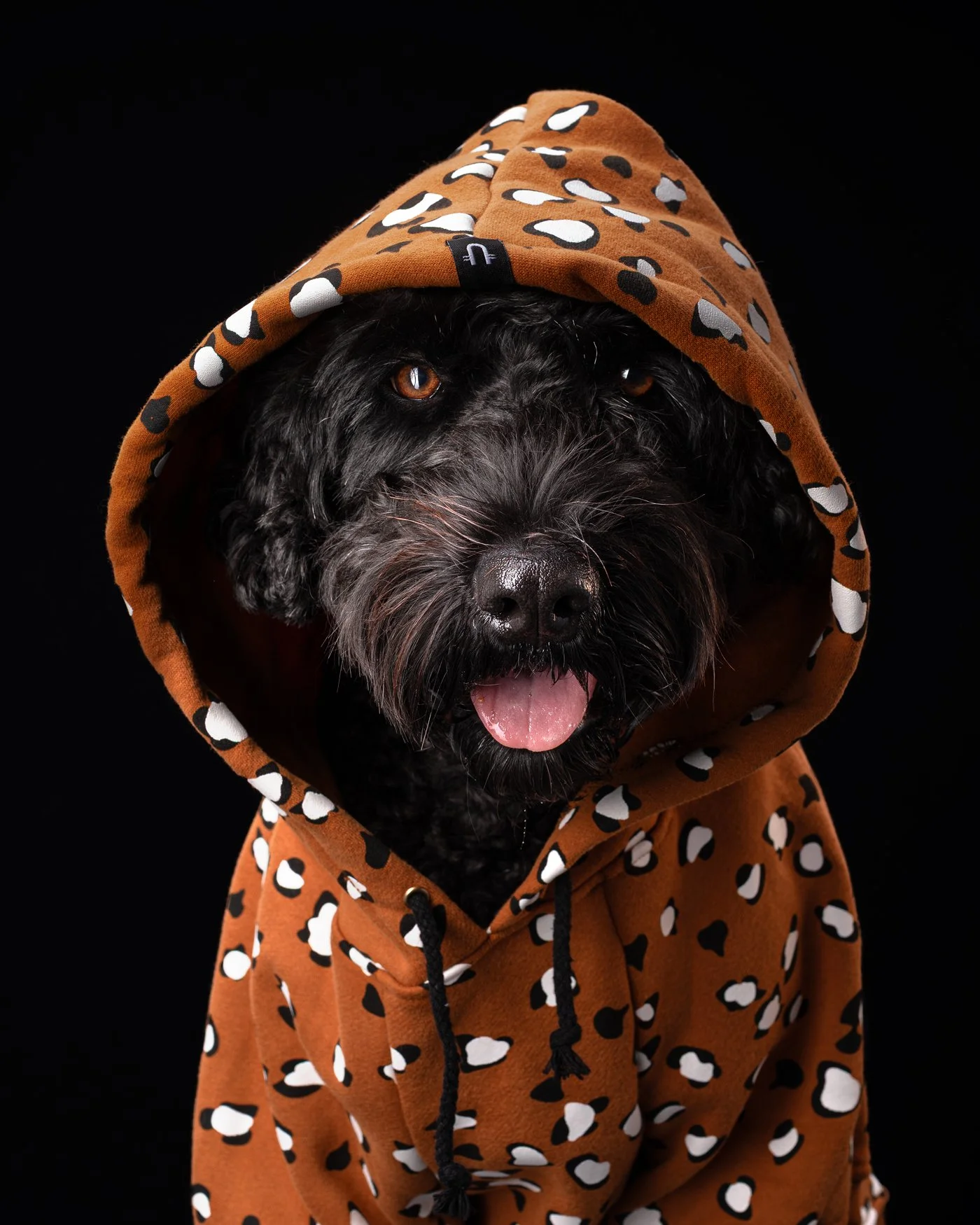 Lulu hoodie dog photography Santa Cruz