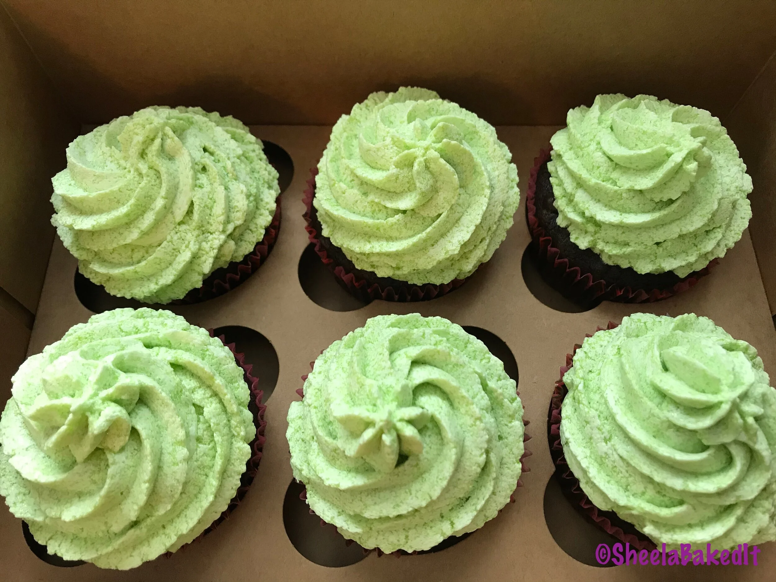 Chocolate w/Chocolate Chips & Peppermint Boiled frosting