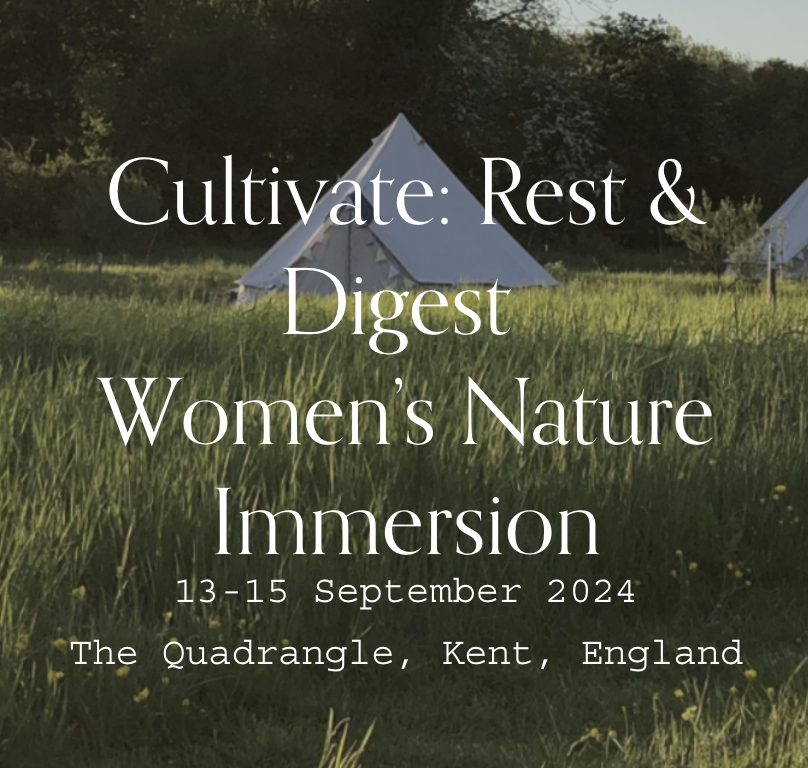 Rest & Digest Women's Nature Immersion
