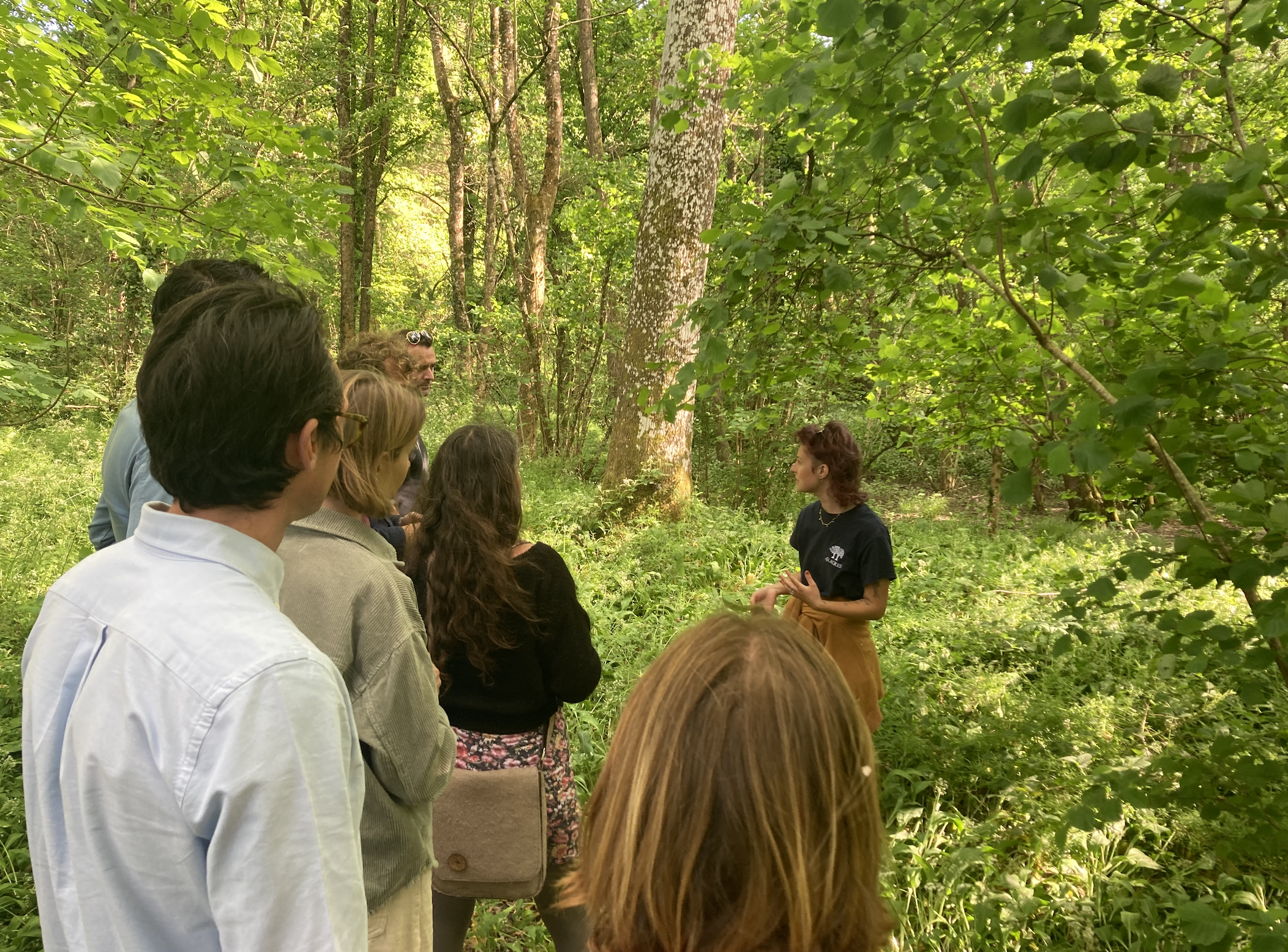 A group of people listening to a woman speaking in a forested area with lush green trees and plants.