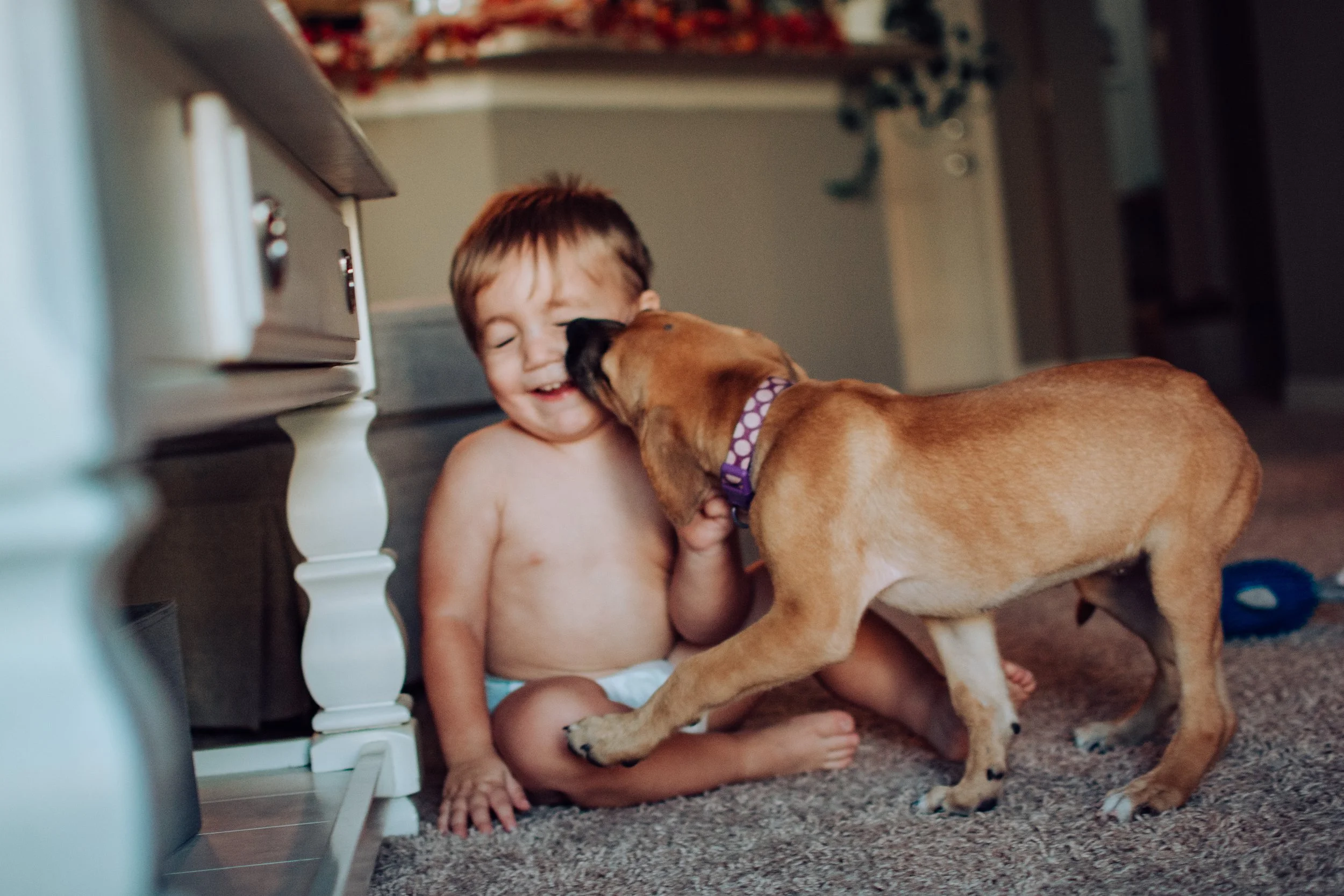 NewPuppy10122019-2.jpg