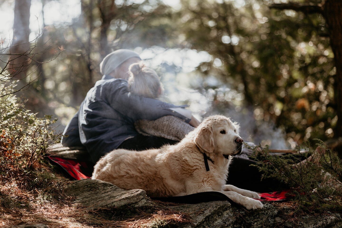 We've booked a few family camping trips (it's tradition!) for the summer and we're super excited! Last summer was a whirlwind, so we can't wait to kick back and relax with nature in a few months! It'll be Sage's first year camping with us too ♡ As wa