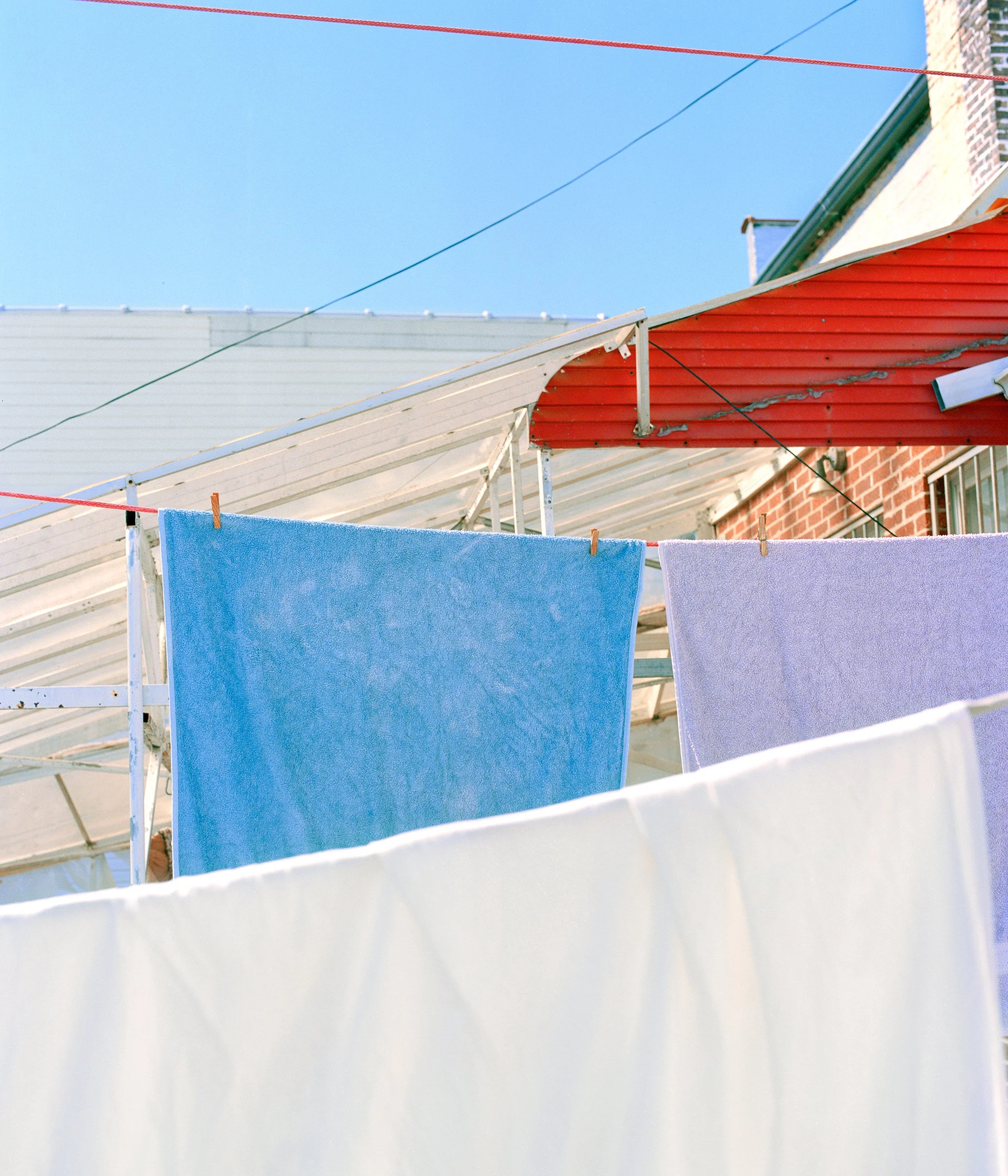AlecDai_Untitled_(Drying).jpg