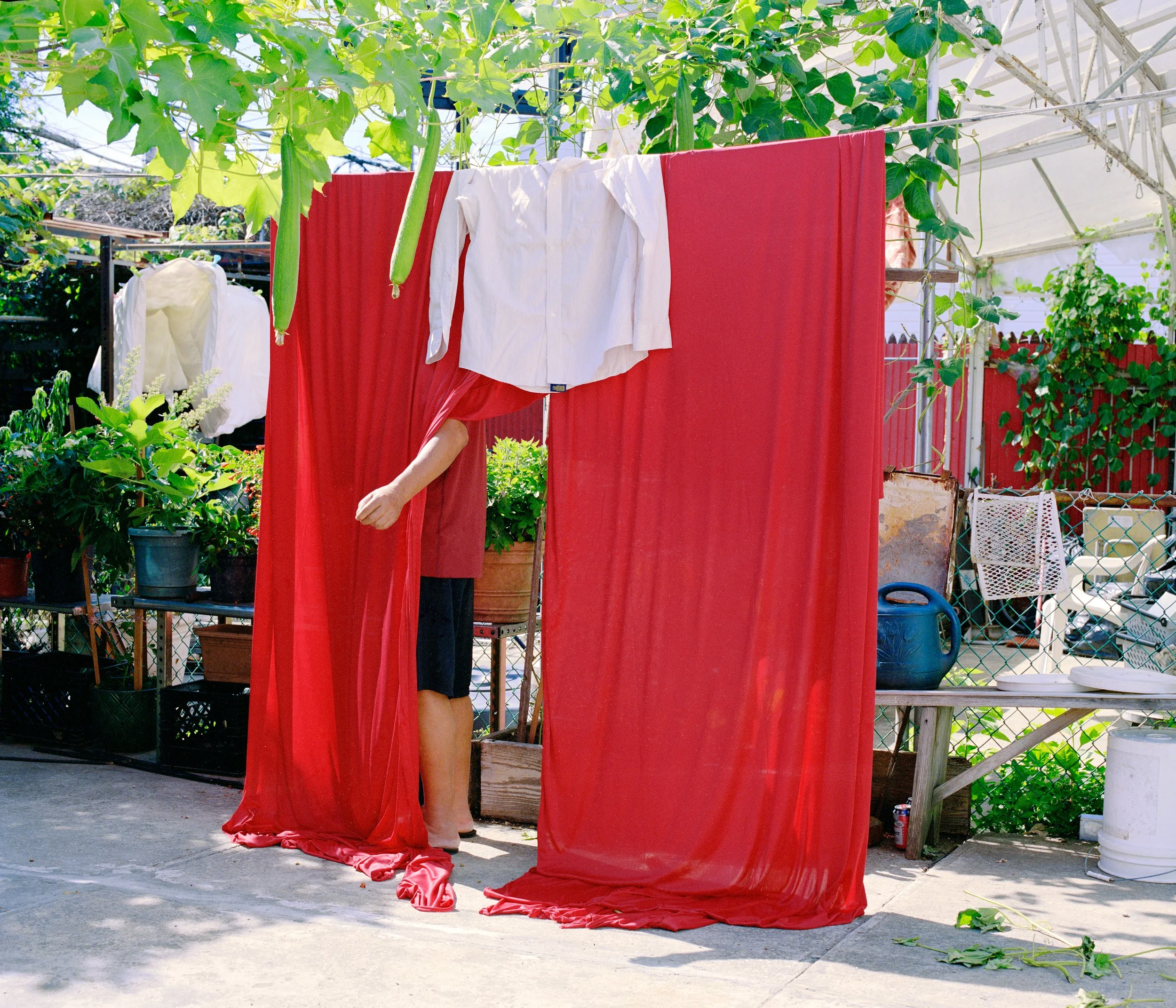 Dad Curtain.jpg
