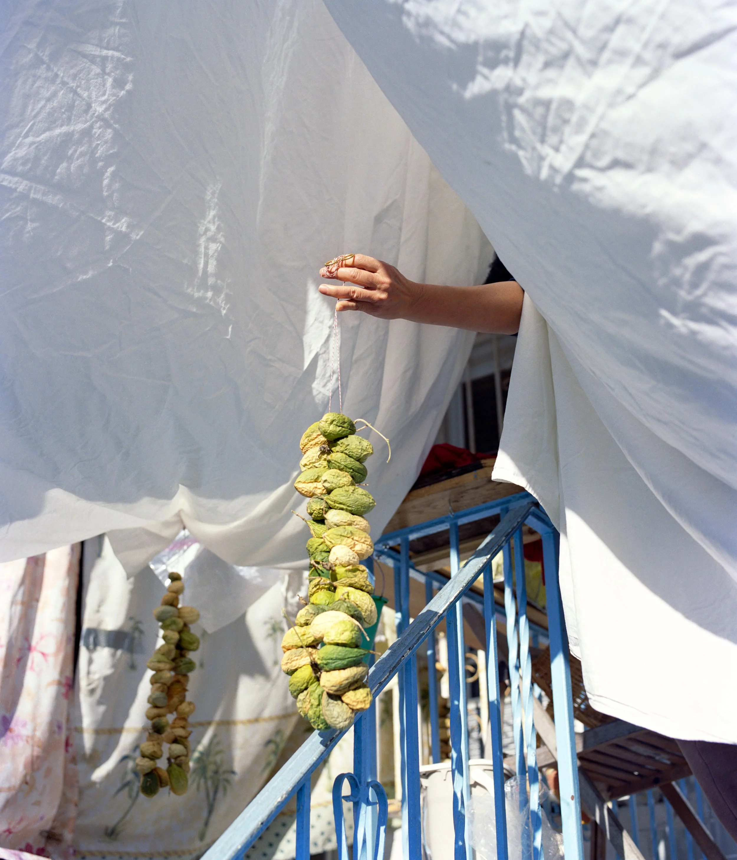 Mom Passion Fruit Offering.jpg