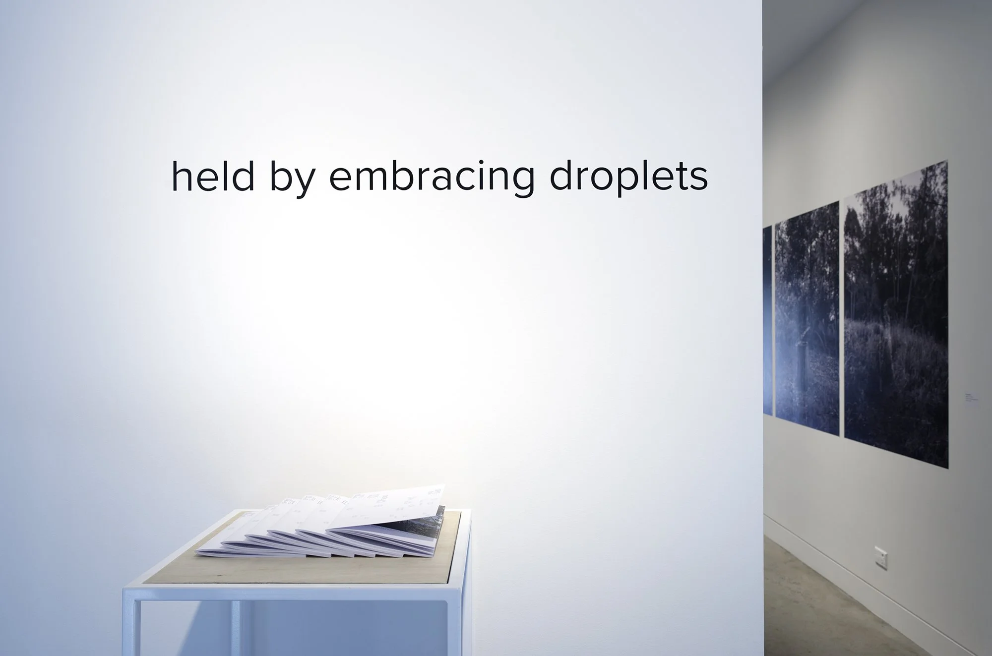 Group Exhibition: held by embracing droplets (installation view). Exhibited at Lismore Regional Gallery, 25 September 2026 - 31 January 2027. Photography by Cherie Winter.

Artists: Akil Ahamat, Leitu Bonnici, Kylie Caldwell, Country as Teacher, Buzz