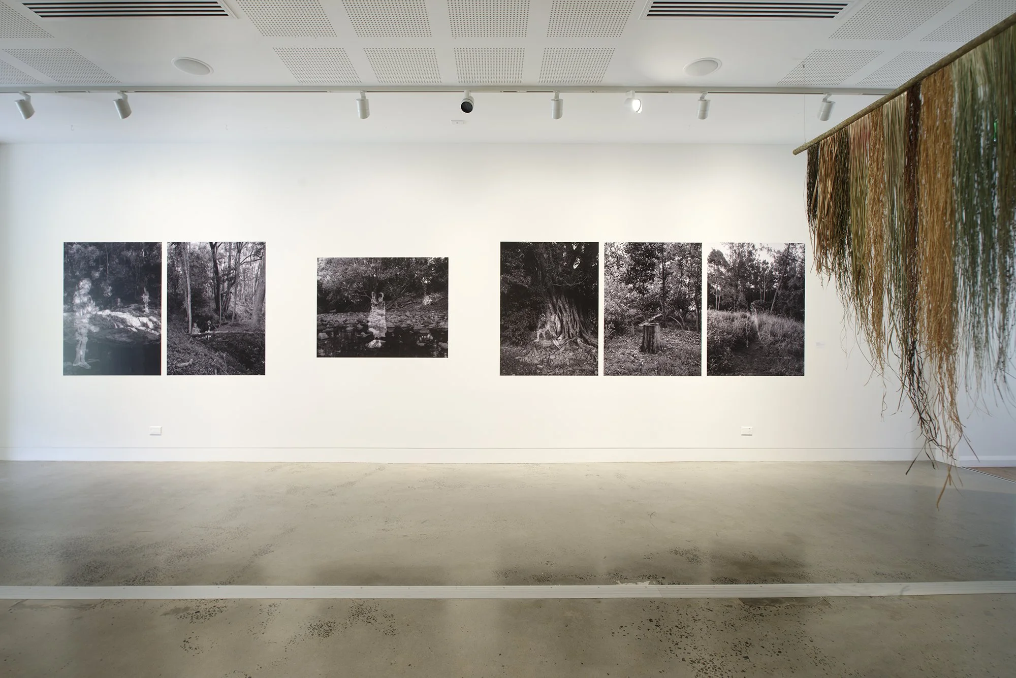 Buzz Gardiner, Banyan Coast (2022). Courtesy the artist. 