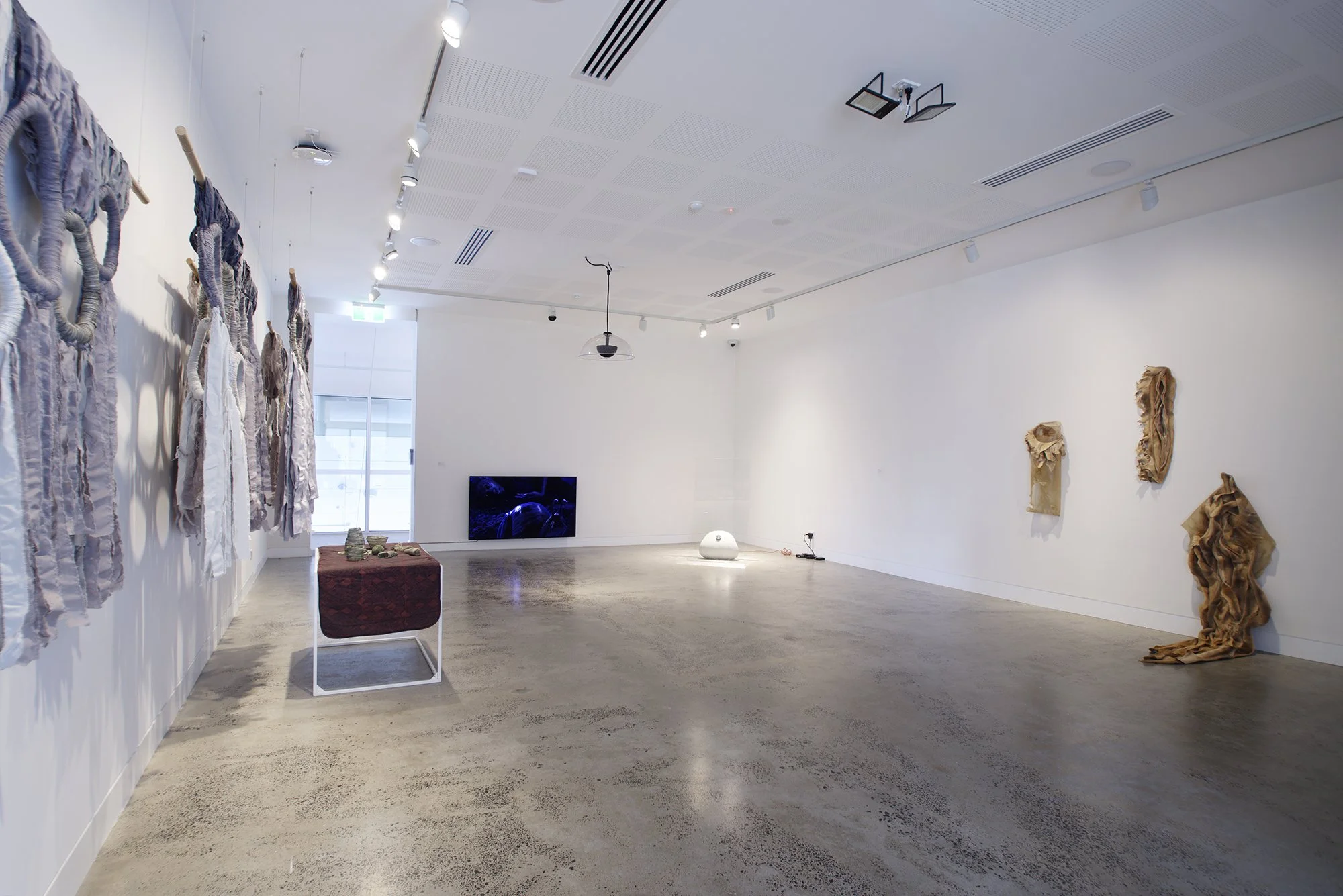Group Exhibition: held by embracing droplets (installation view). Exhibited at Lismore Regional Gallery, 25 September 2026 - 31 January 2027. Photography by Cherie Winter.

Artists: Akil Ahamat, Leitu Bonnici, Kylie Caldwell, Country as Teacher, Buzz
