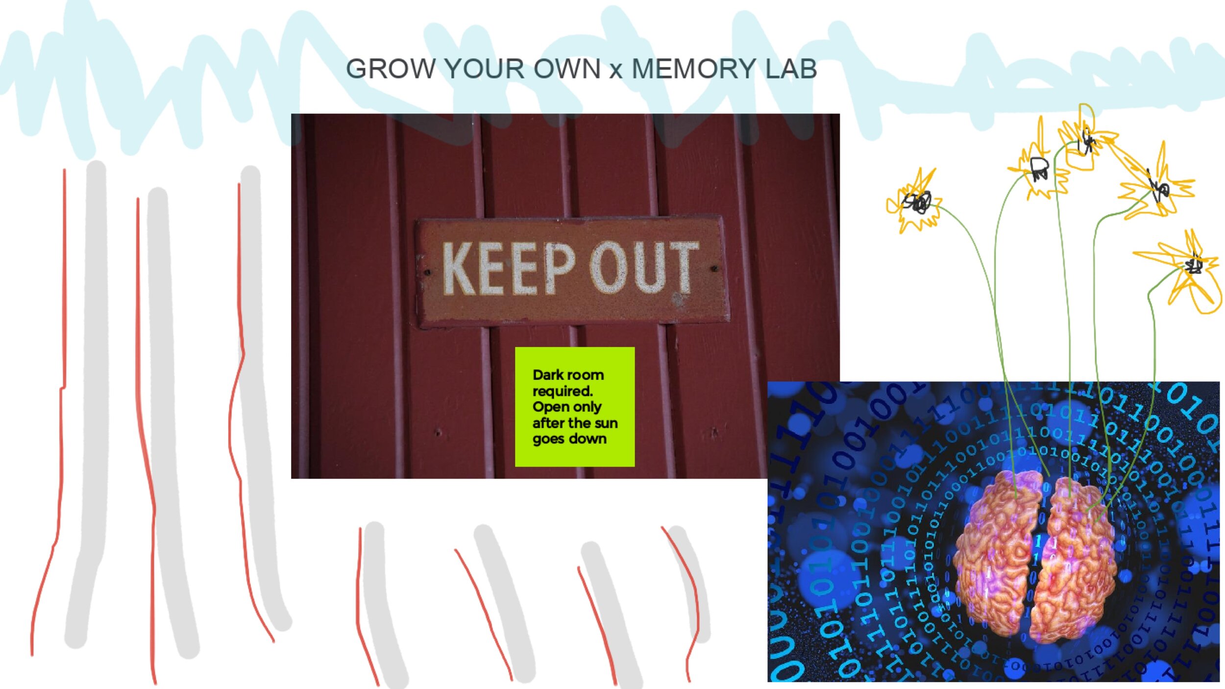 scicurious zine 50 15.jpeg