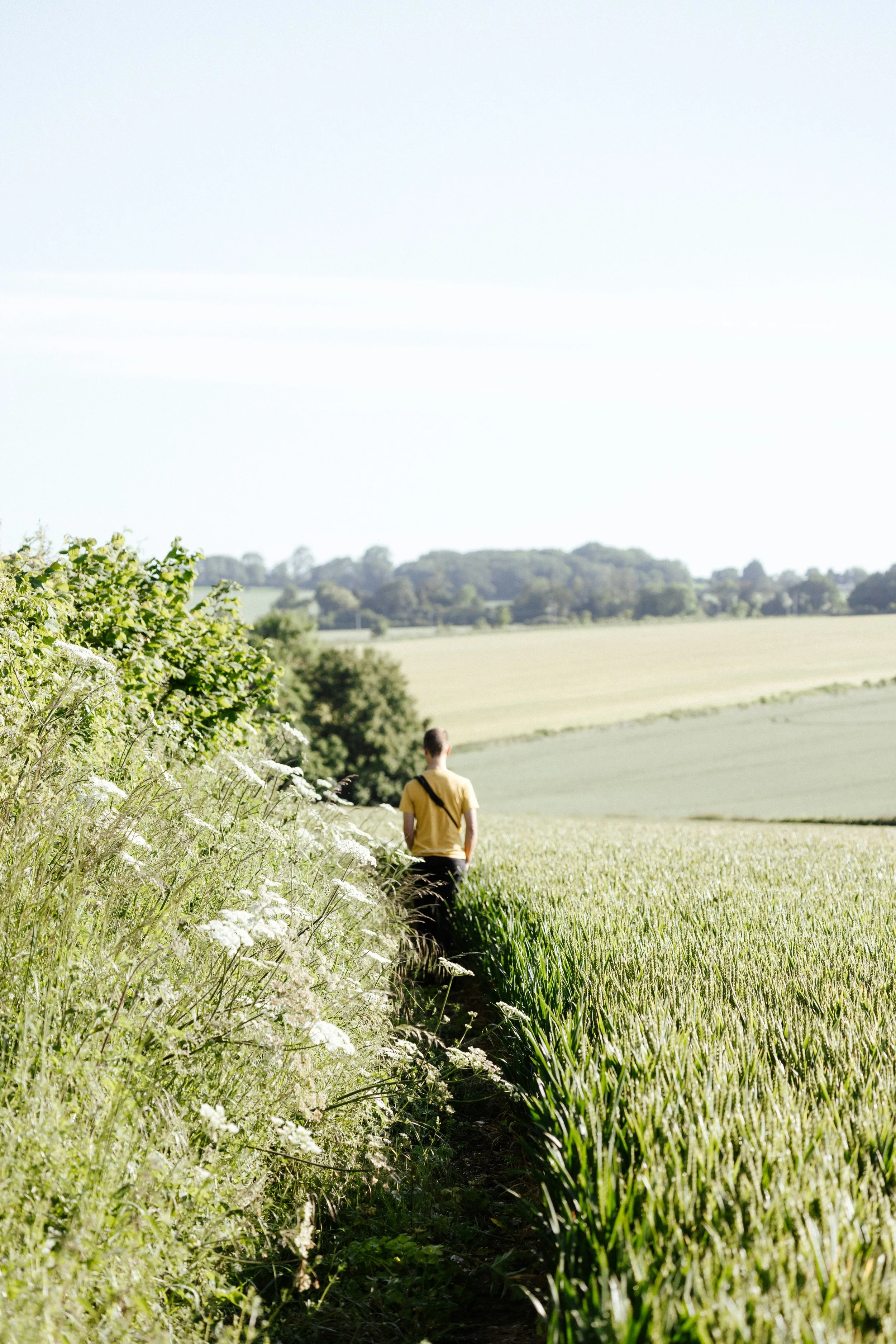 Image of a young man walking through a field of grass because of EMDR therapy in Seattle.