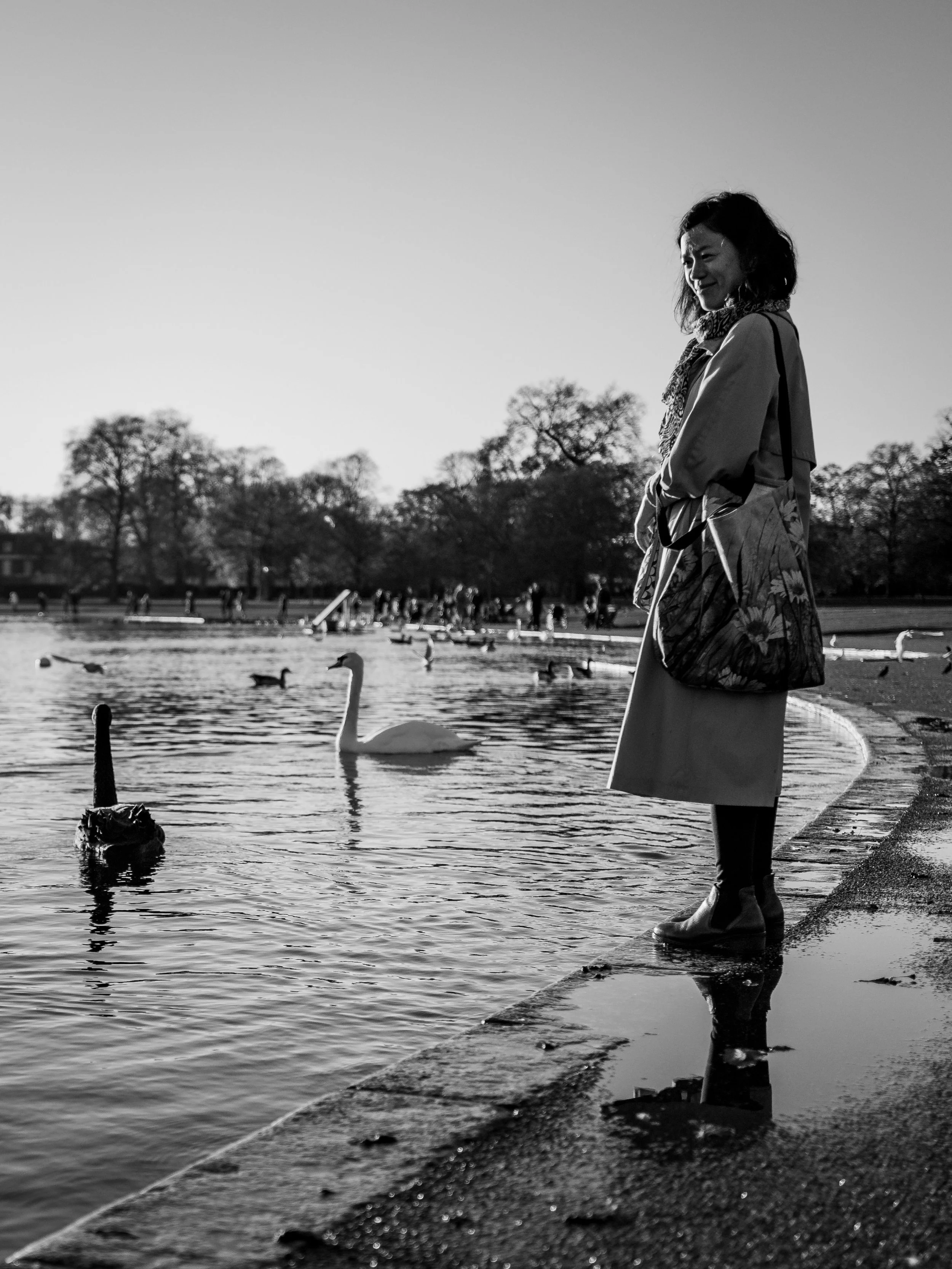 Photo of a woman on the edge of a lake watching swans because of healing with trauma therapy Seattle.