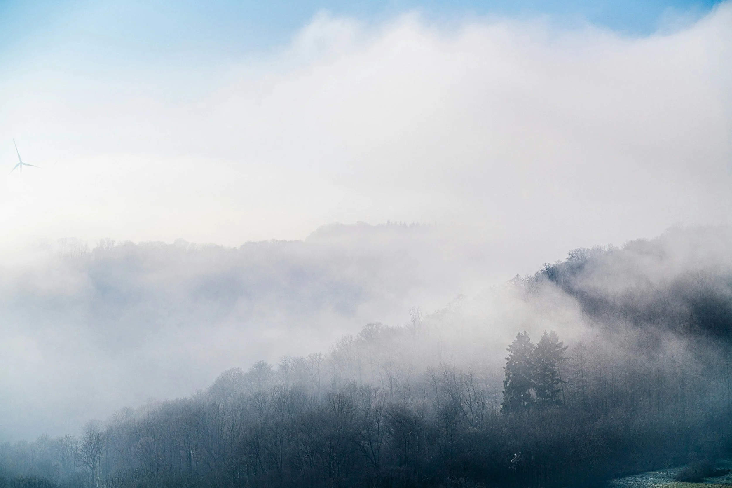 Trauma therapy in Seattle supporting clarity and nervous system healing.