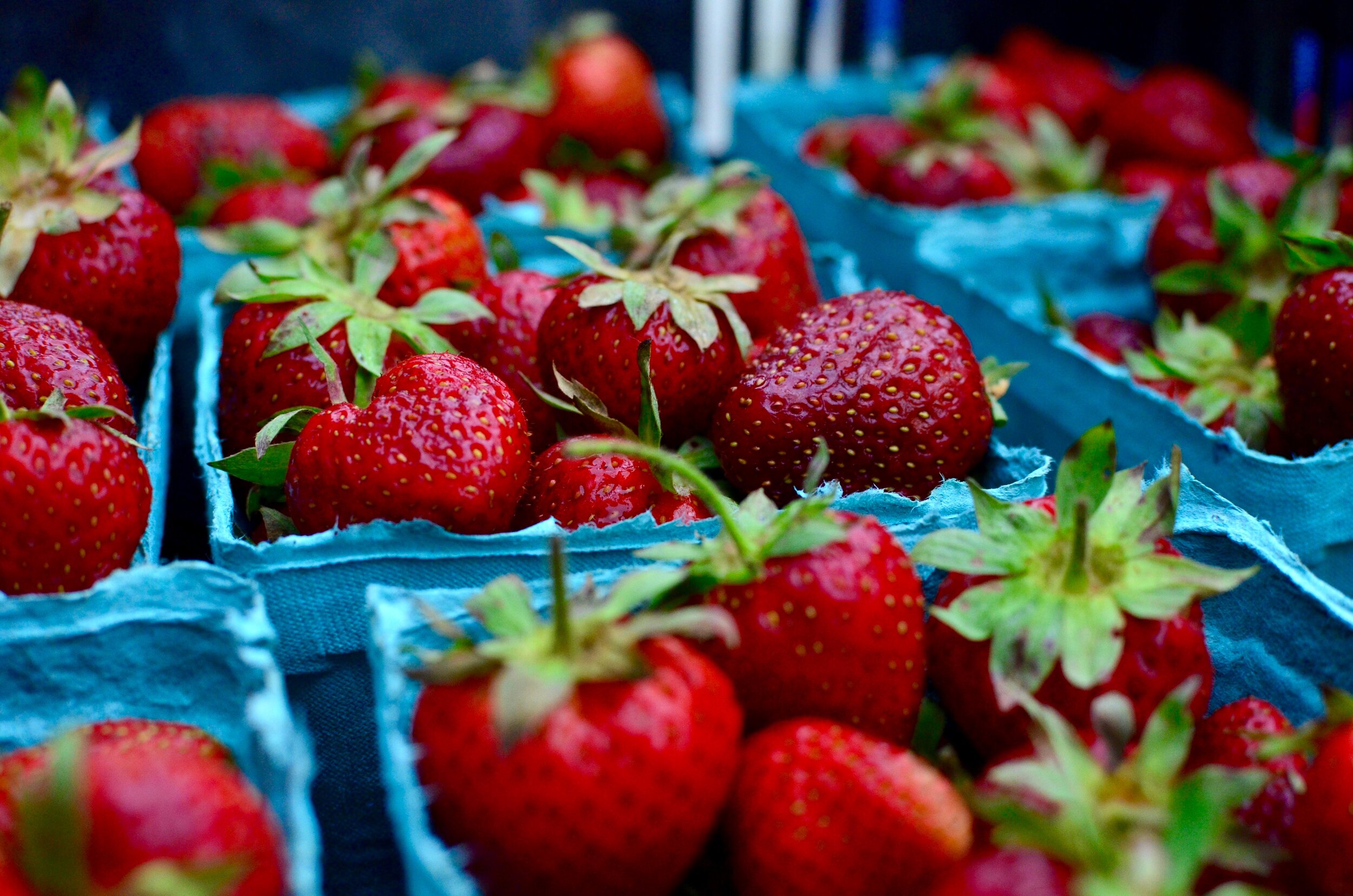 Fresh Fruit Hula Bowl  Order Online at Redner's Markets