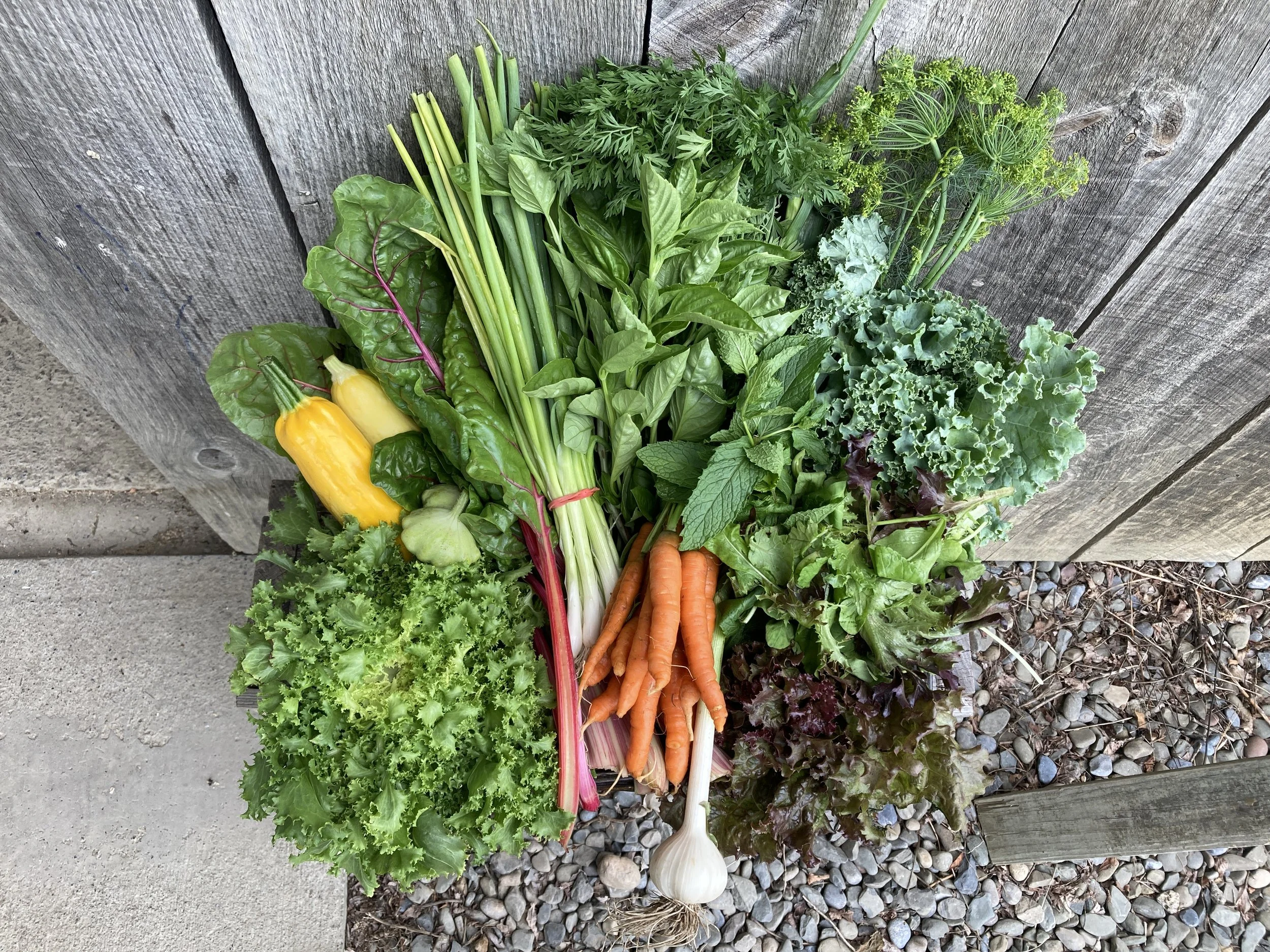 Summer Vegetable Share
