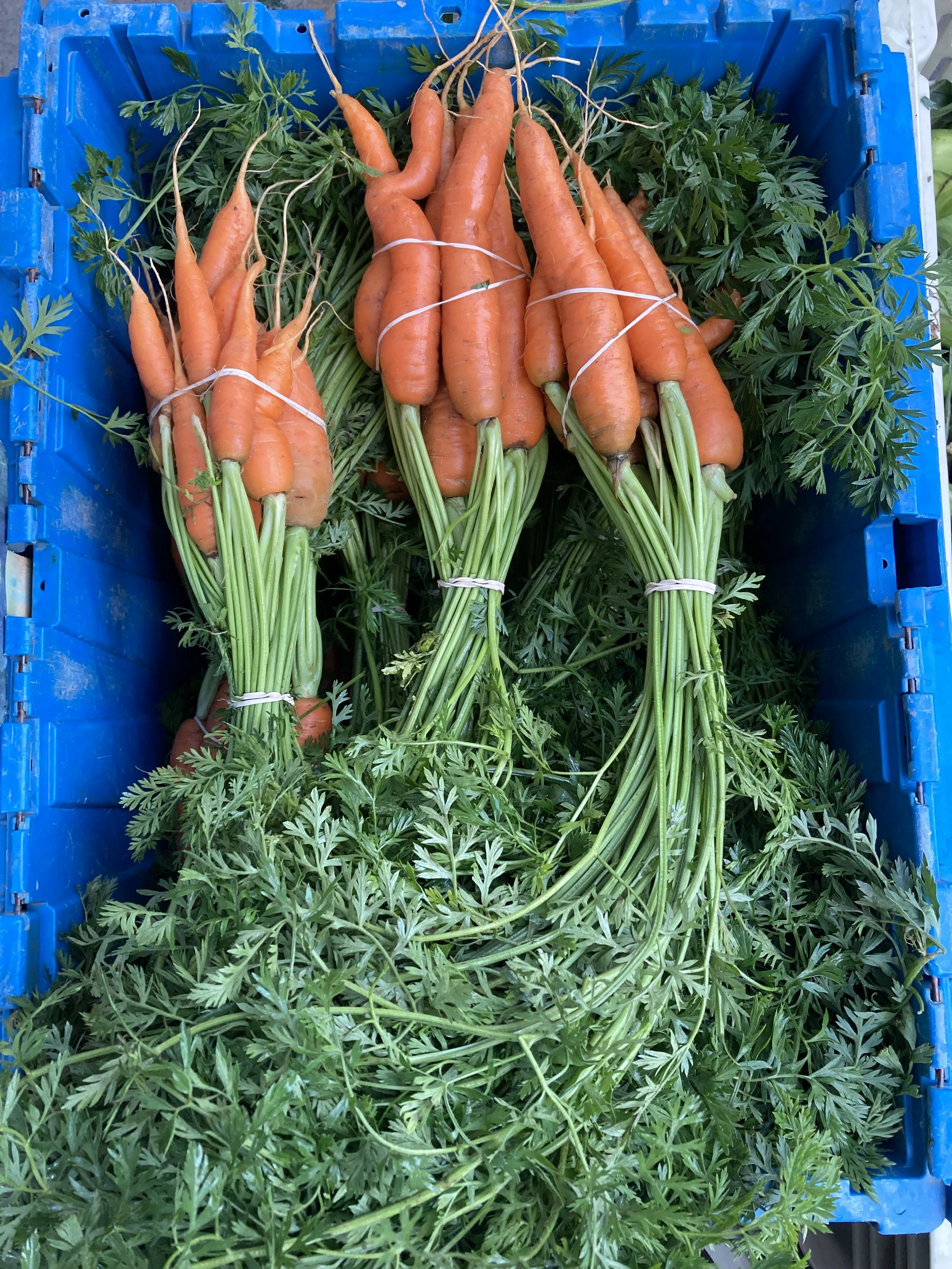 Cover my credit card fees (and support the Subsidy Fund)