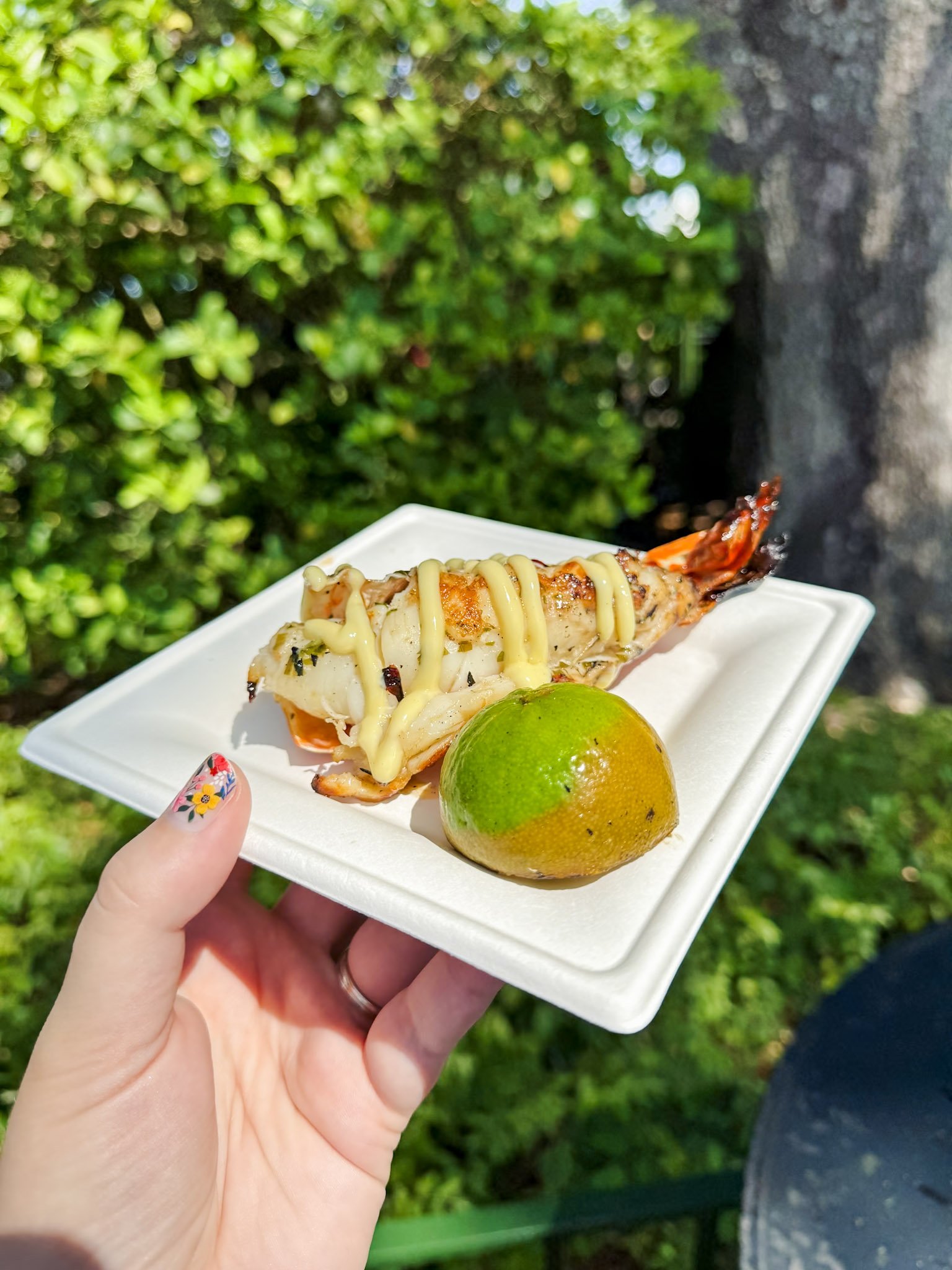Grilled Warm Water Lobster Tail with Key lime butter
