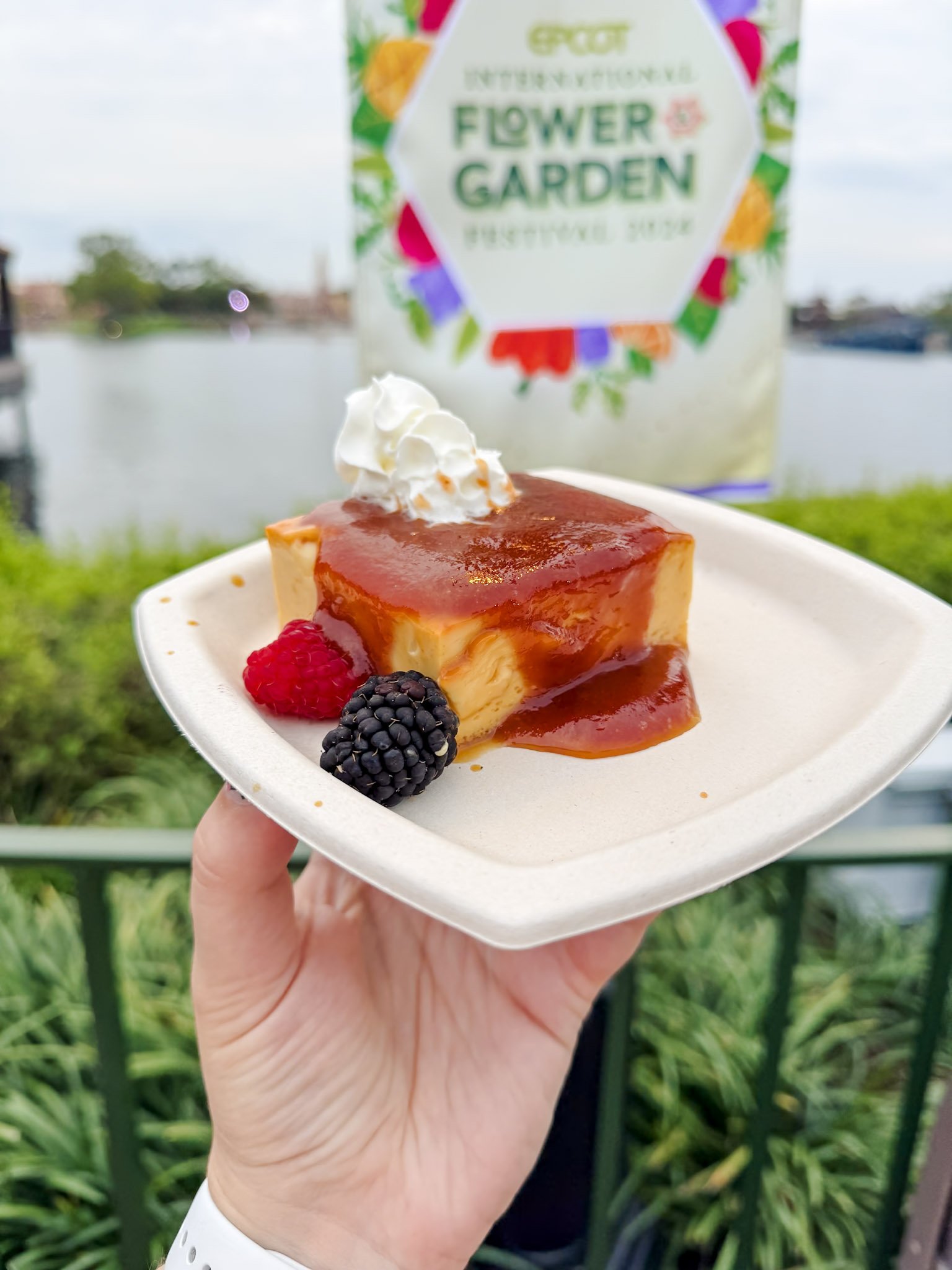 Flan de Guayaba: Vanilla flan with guava coulis, whipped cream, and fresh fruit
