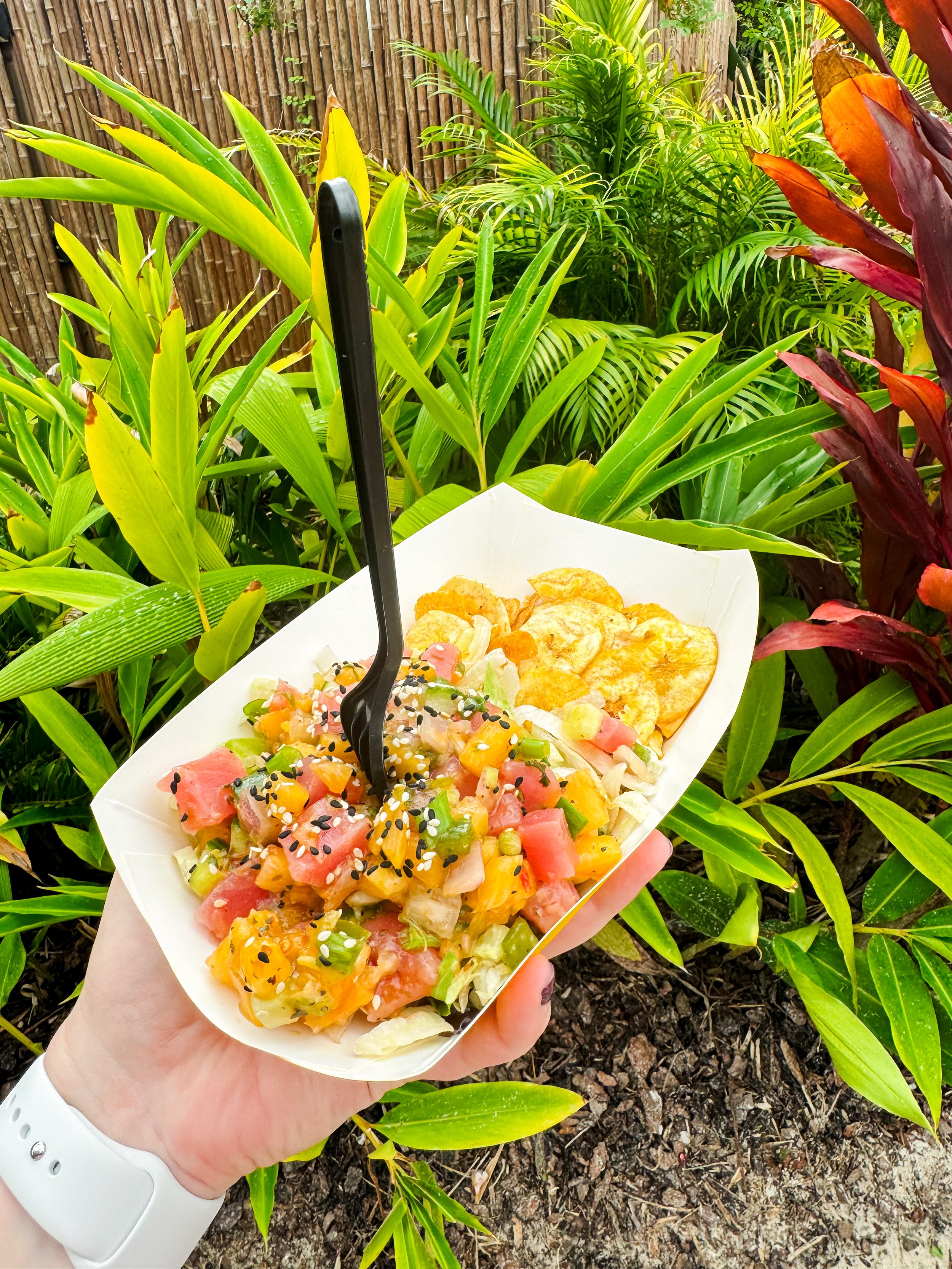 Volcano Bay Poke.JPG