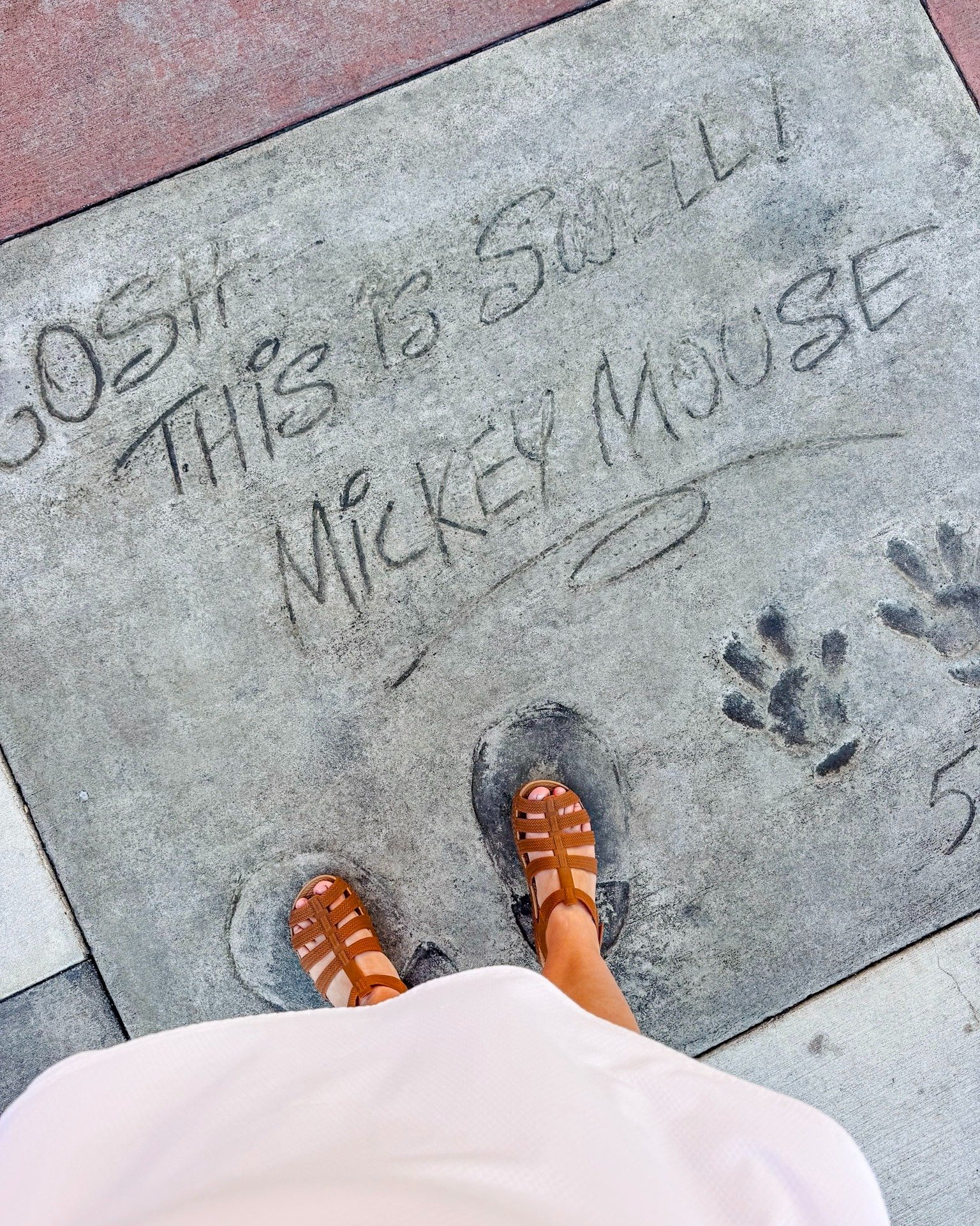 Do you know where in Walt Disney World you can find these extra special hand (and foot) prints? Tell me your guesses in the comments!
#disneyworld #disneyparks