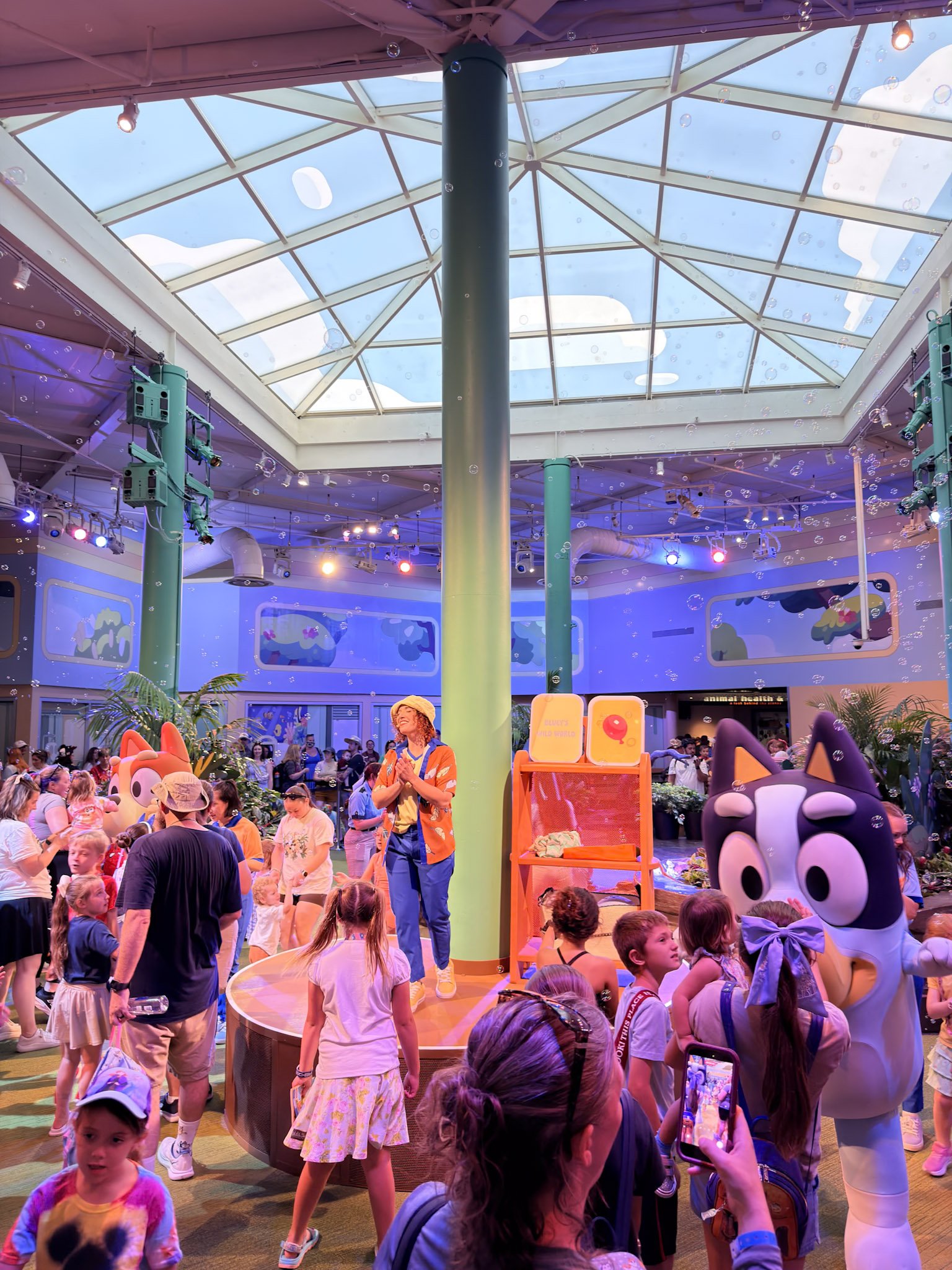 Bluey Wild World 3 Cool Kids' Summer.jpg