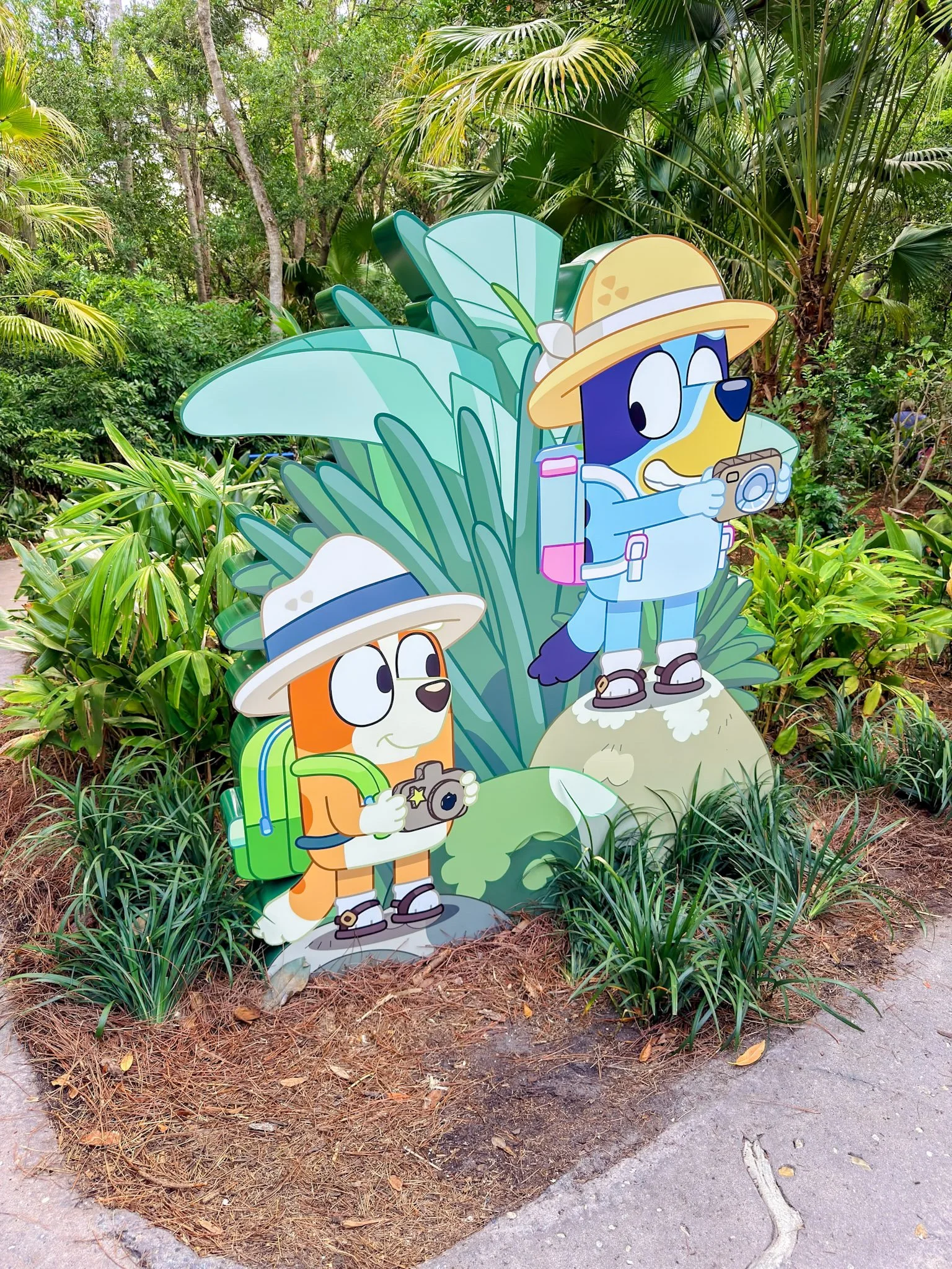 Bluey & Bingo Sign Cool Kids' Summer.jpg