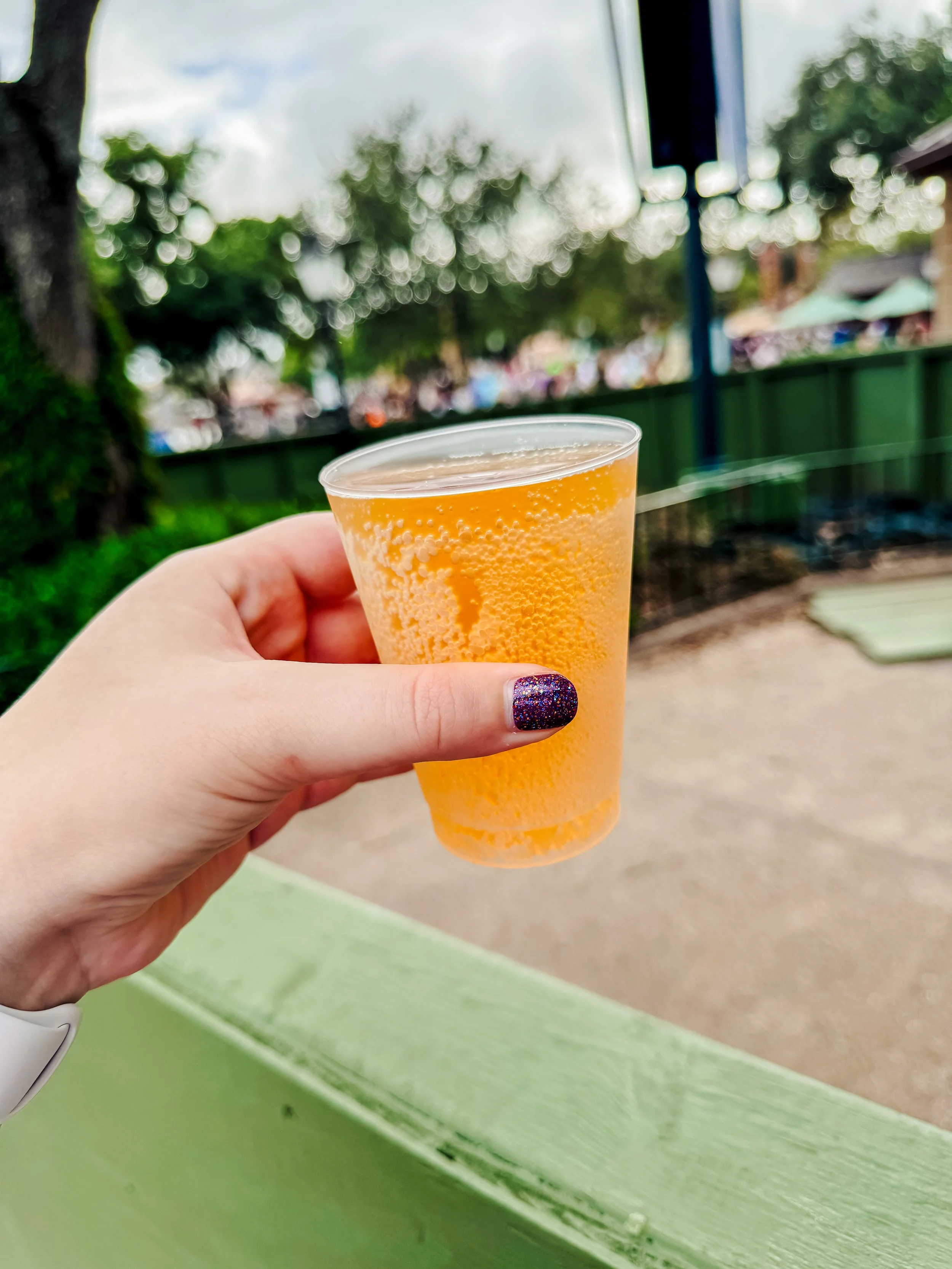 Food & Wine Festival 2023 Cinammon Apple Cider.JPG