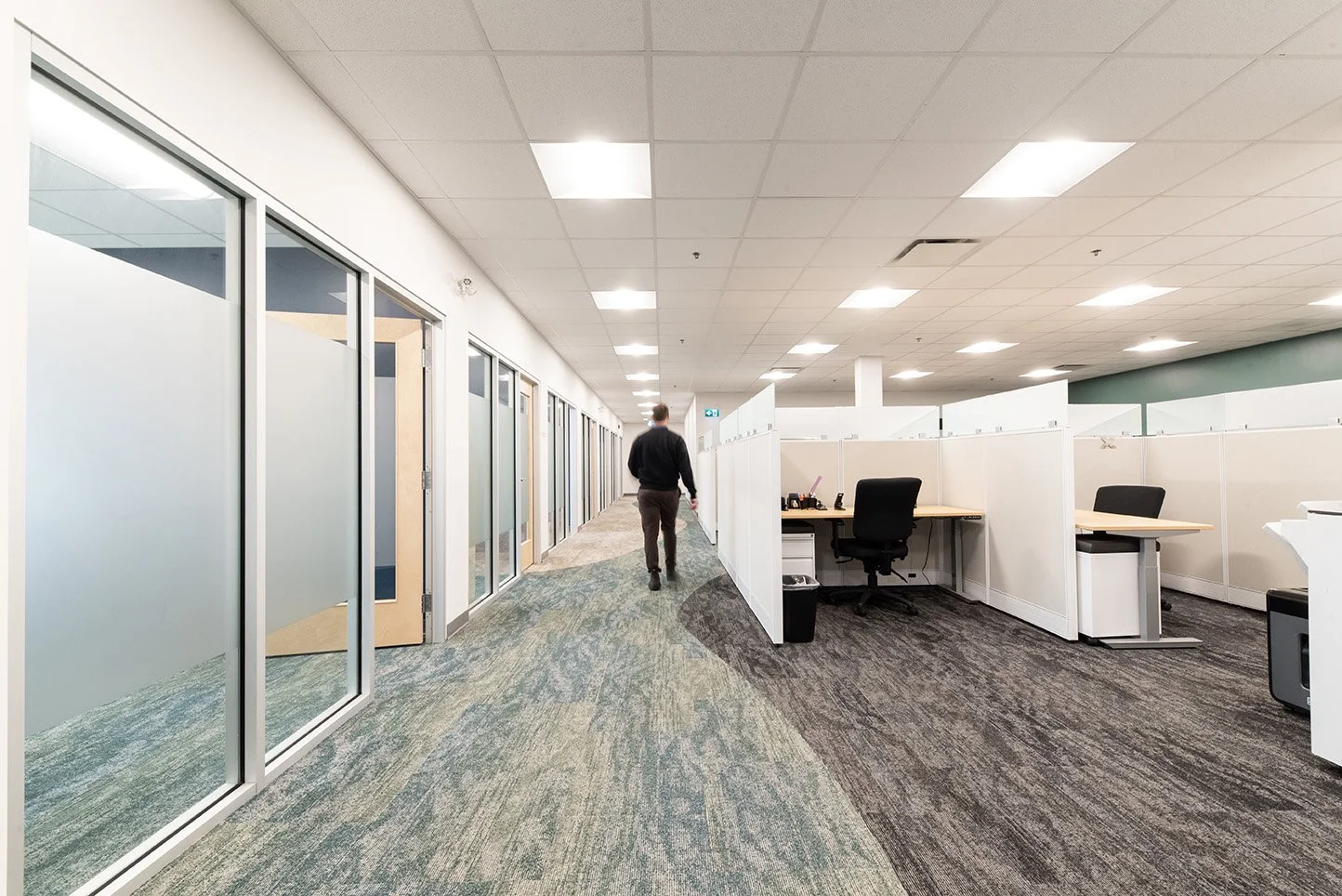DSC_7293 copy 2.jpg