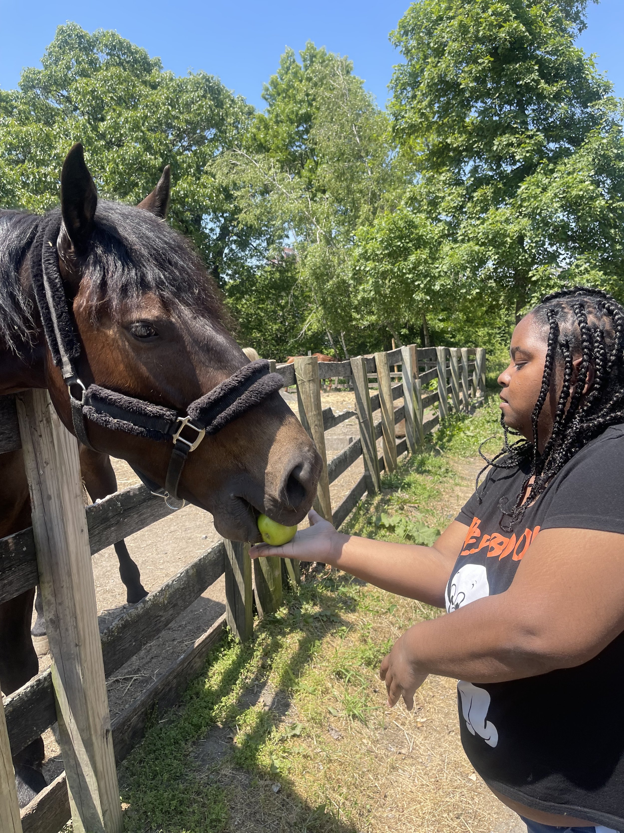 IRINY-Erika feeding horse.JPG