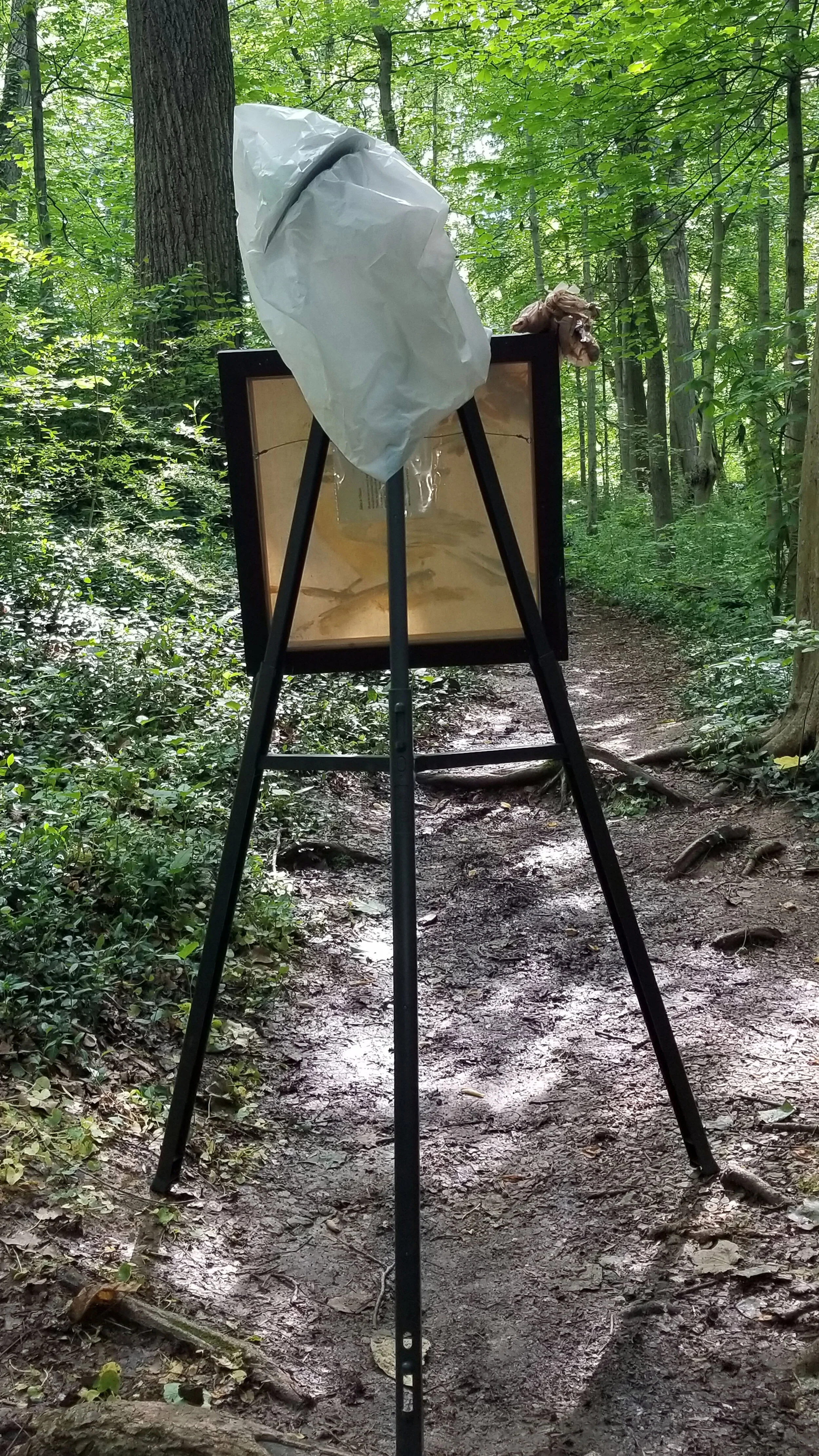 Taking a break in the woods while shooting