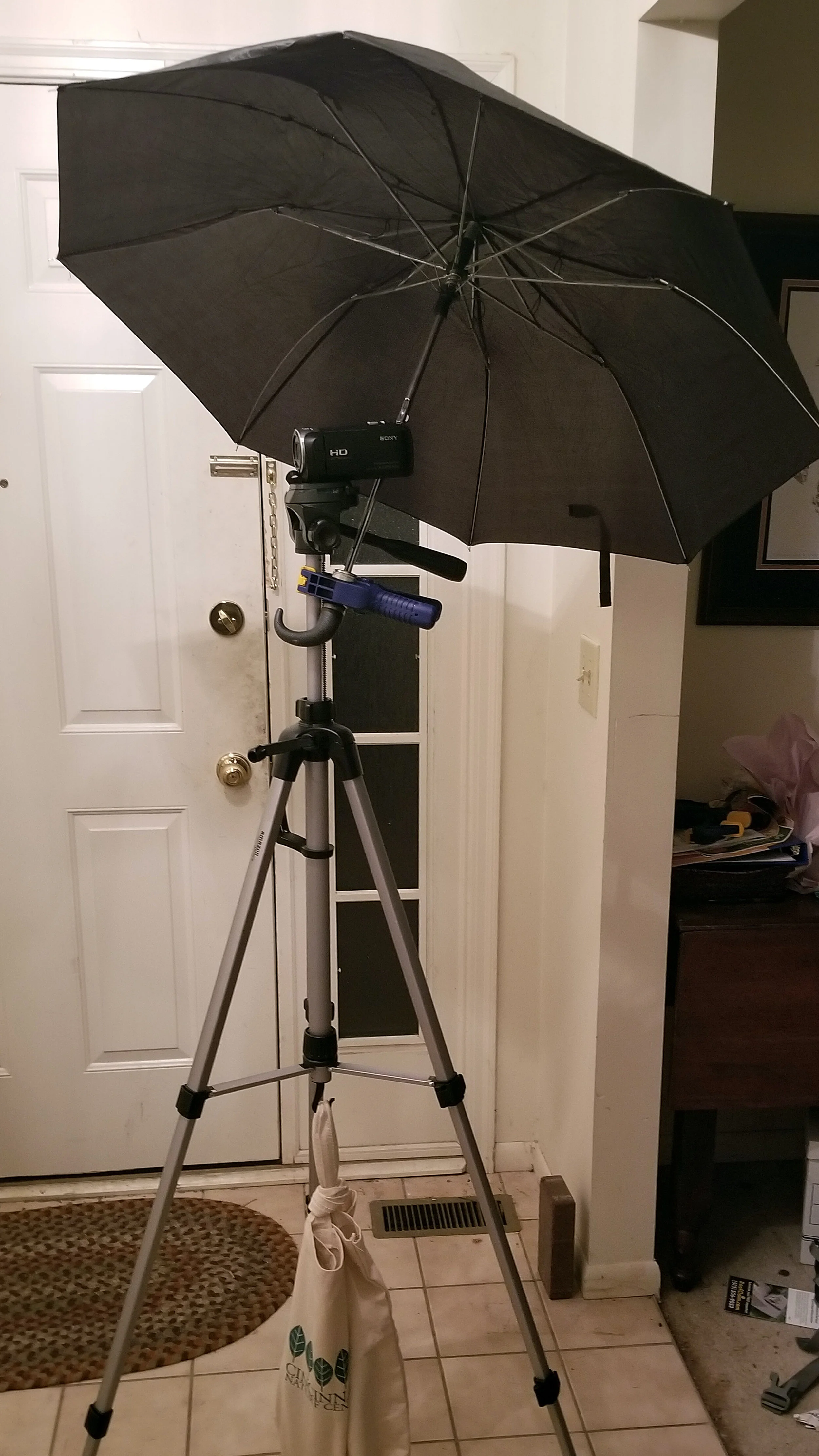 The Rain Dragon Recording Rig (It needed to be able to film in the rain)