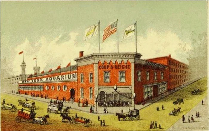A postcard of the New York City Aquarium under the management William Cameron Coup