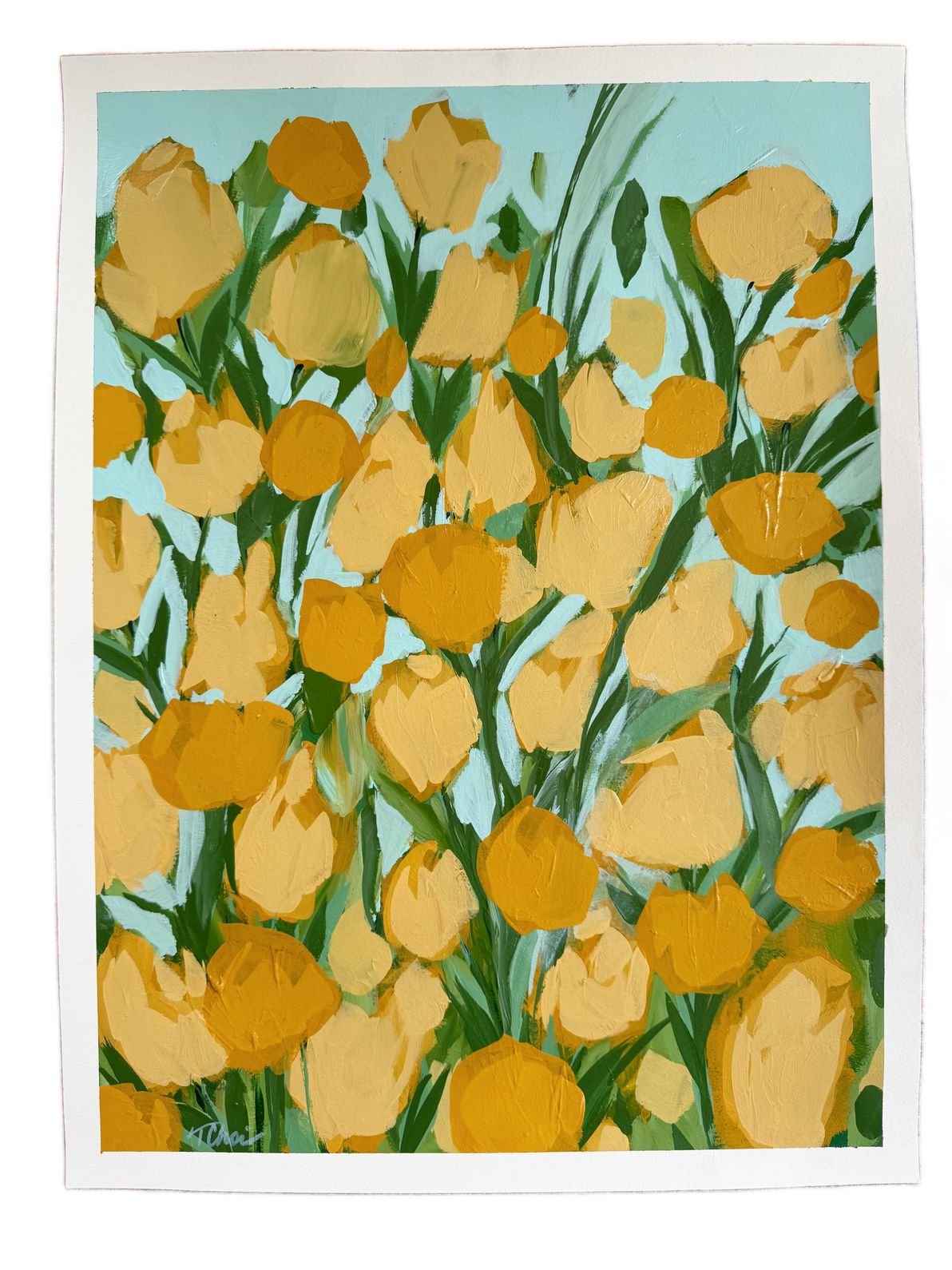 TULIPES