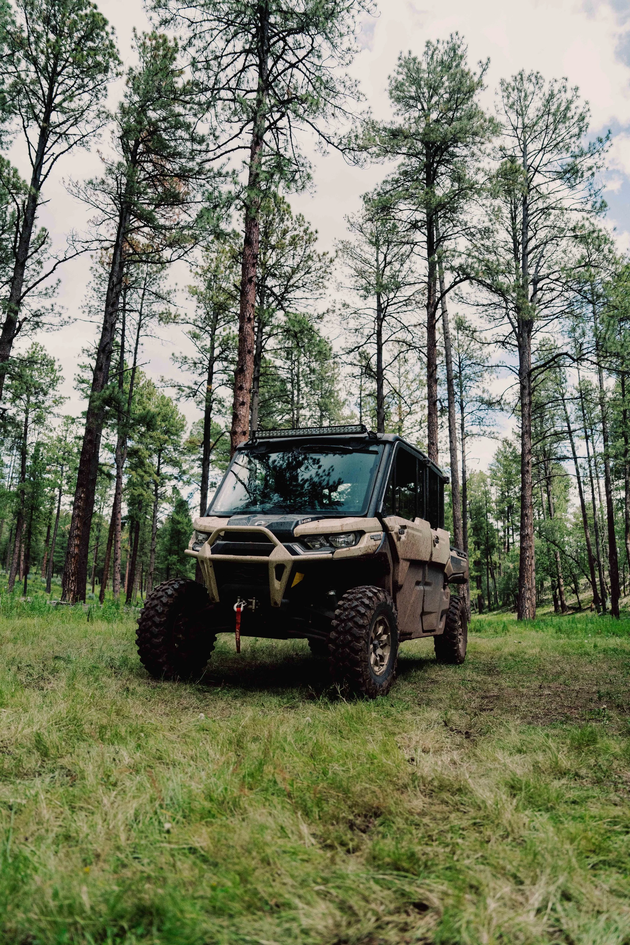 JOSH NM ELK-1726.jpg