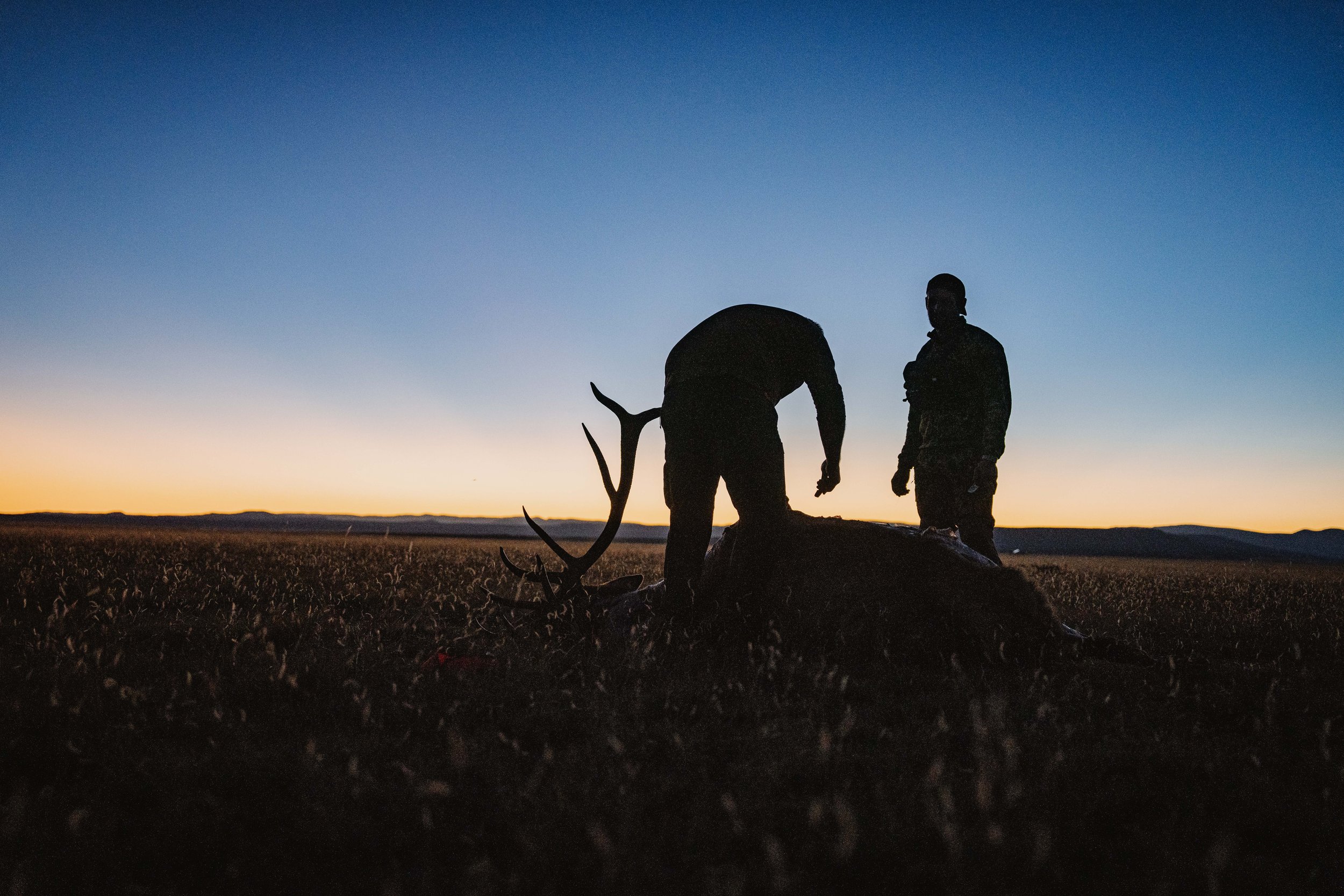 BRANDON ELK_NM_OCTOBER_2024-9019.jpg