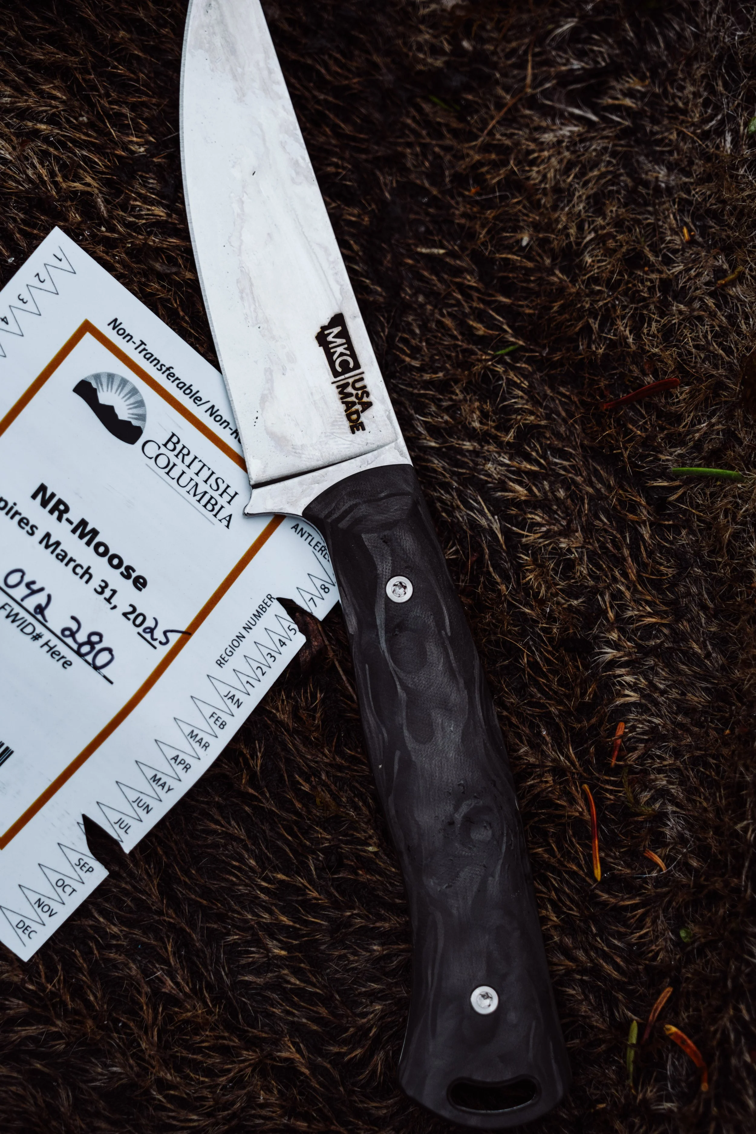 MOOSEHUNT_BC_AUGUST_2024-3758.jpg