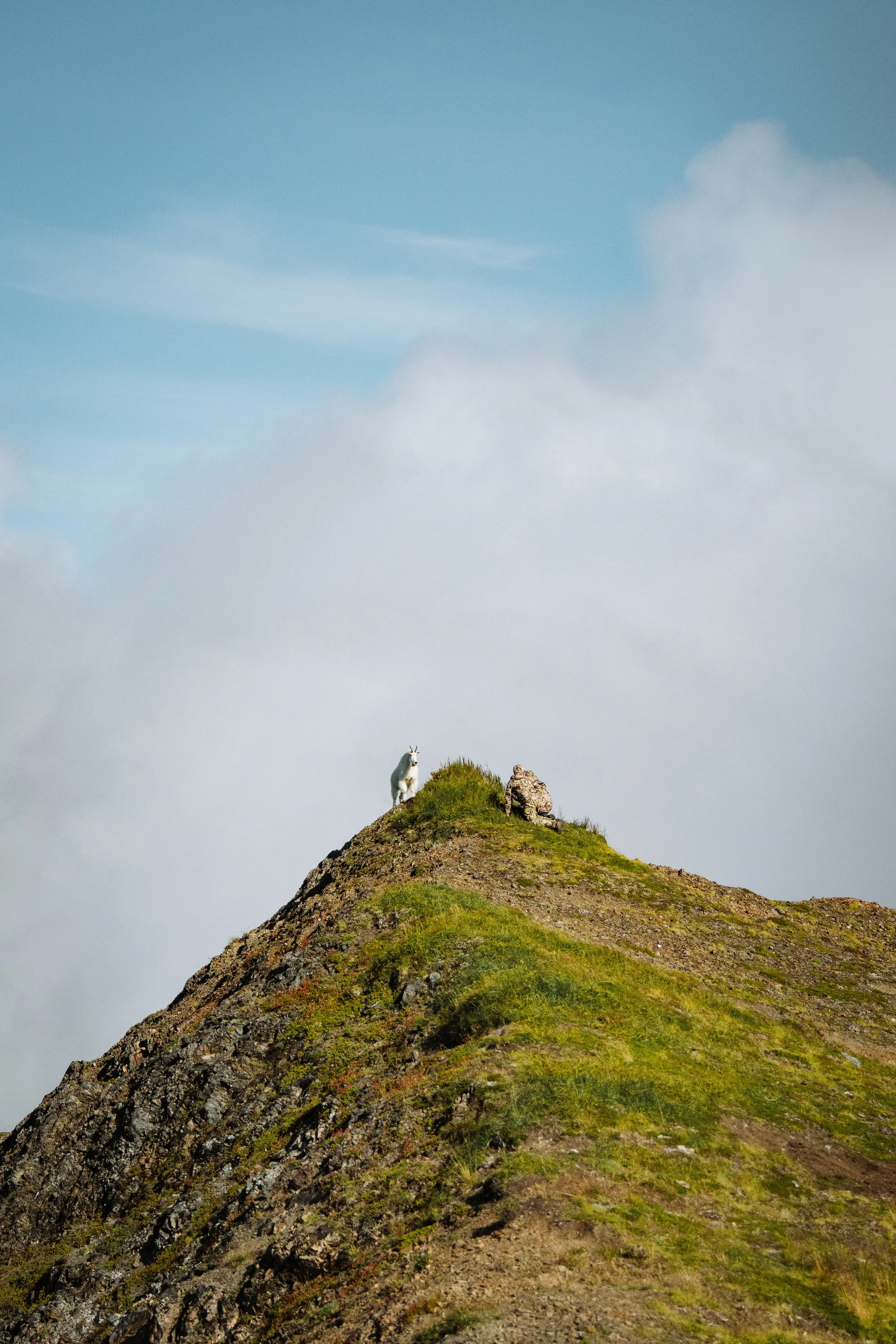 GOATHUNT_AK_AUGUST-9273.jpg
