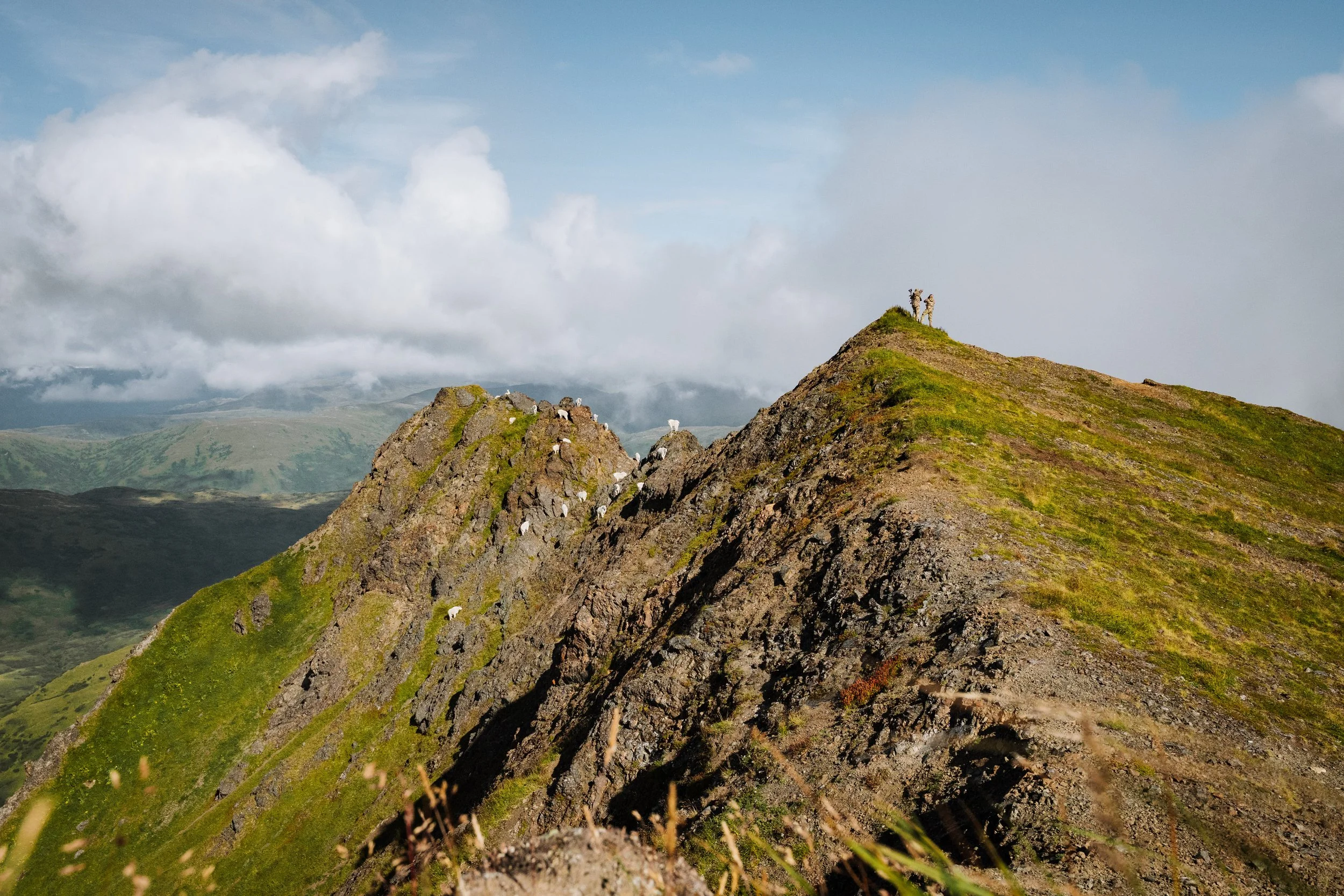 GOATHUNT_AK_AUGUST-9236.jpg