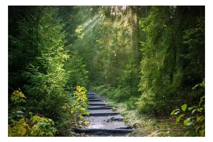 Shift Package | 10 Hours of Coaching for 6 Months