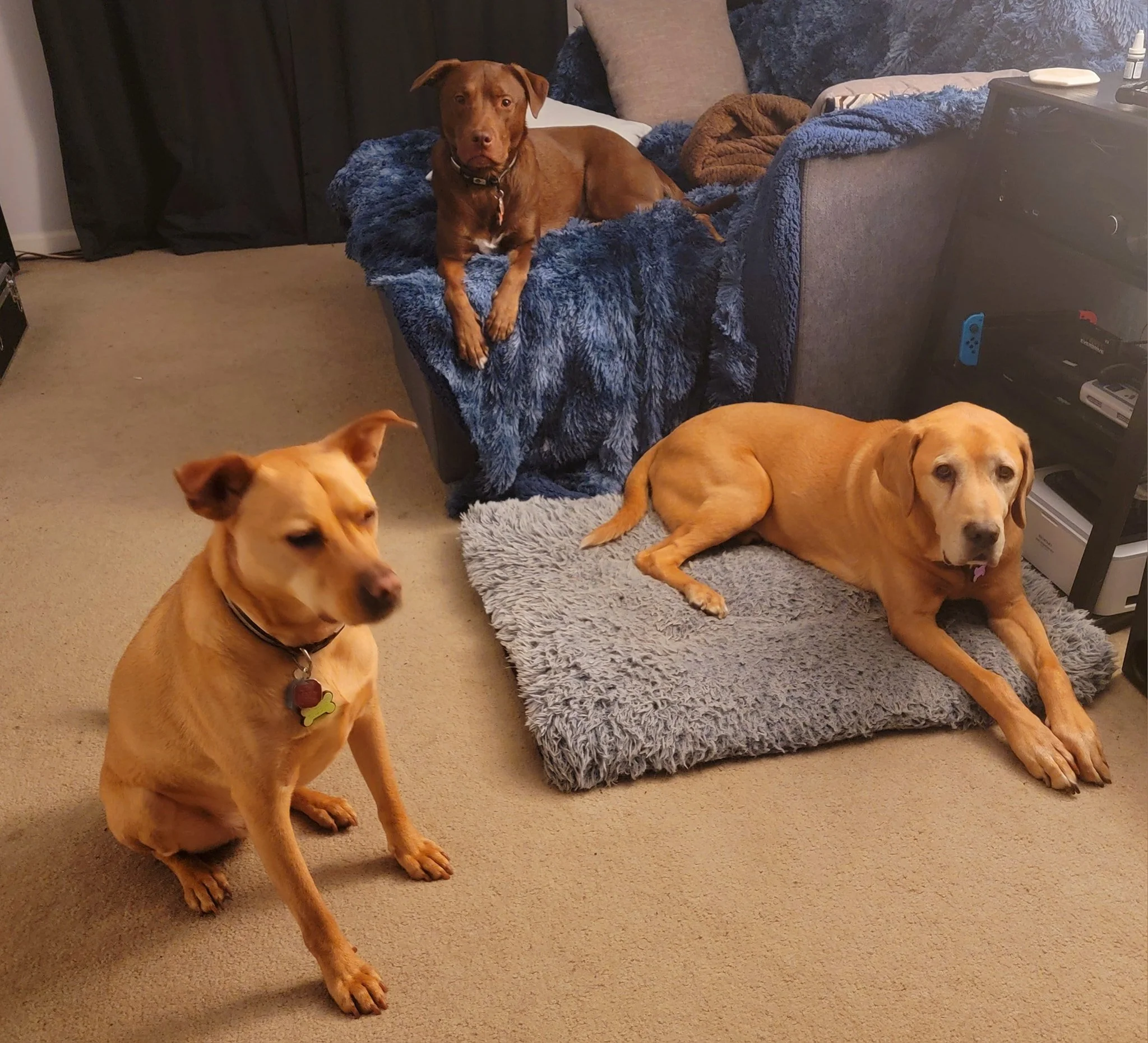 They were having a board meeting