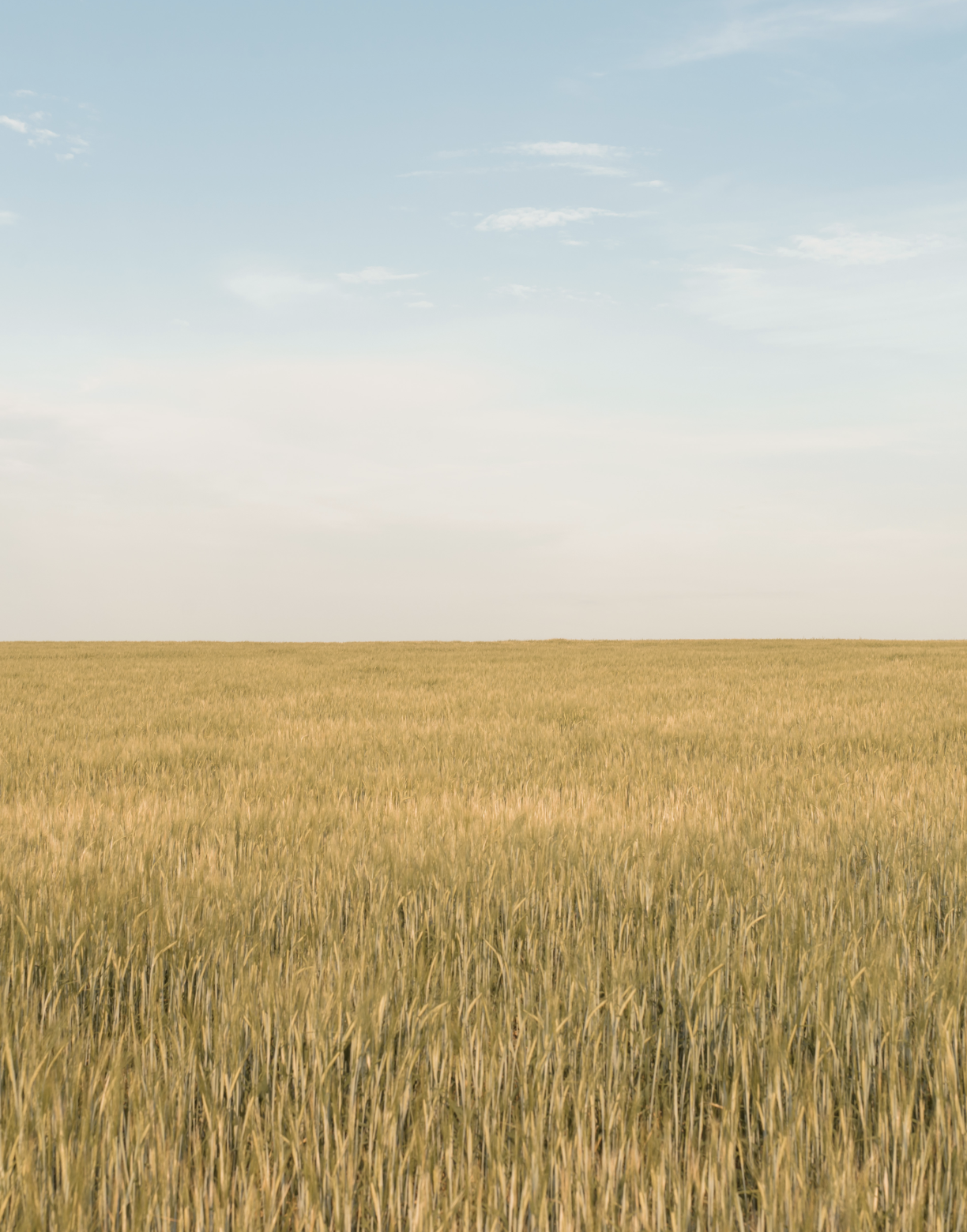 Screenshot 2026-02-28 at 12.26.59 AM.png