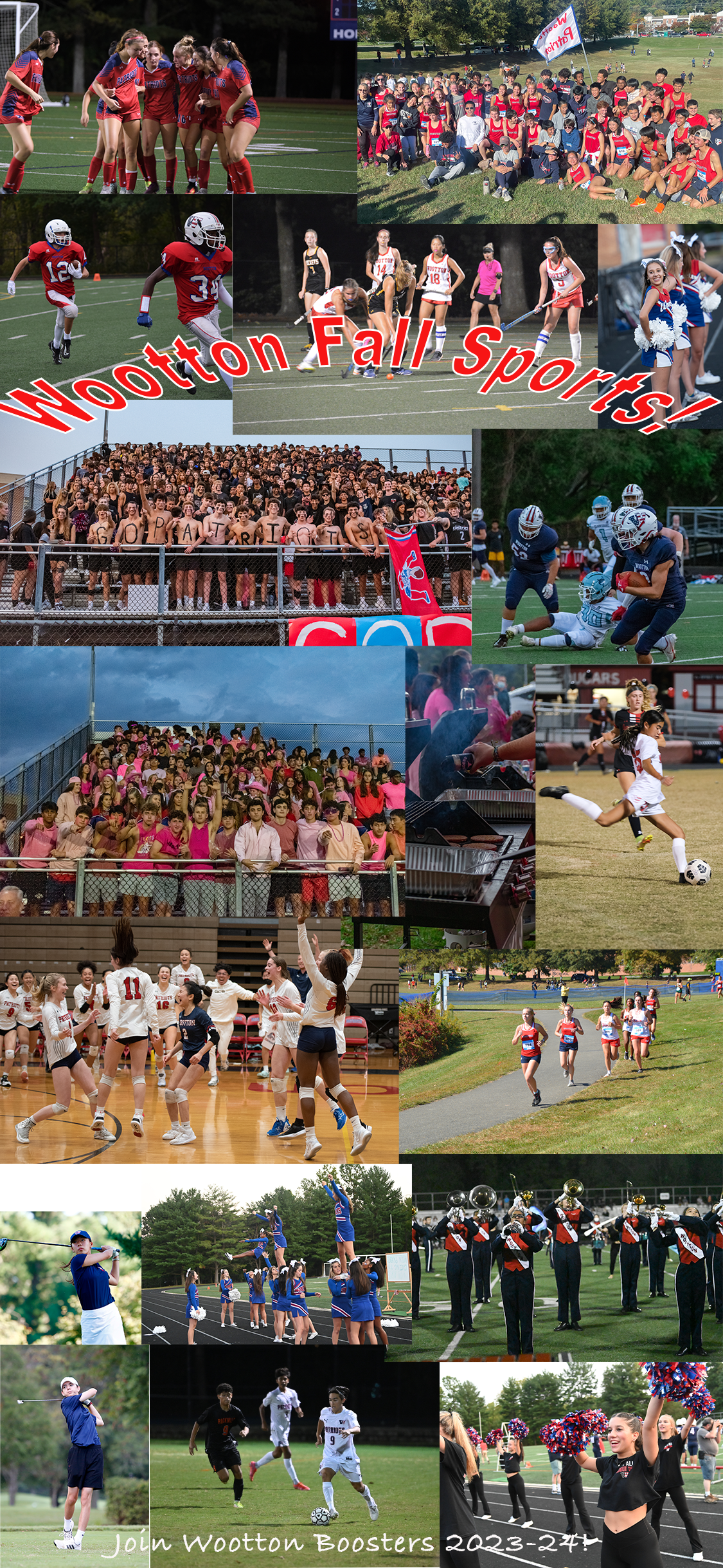 Phone Background Fall Sports