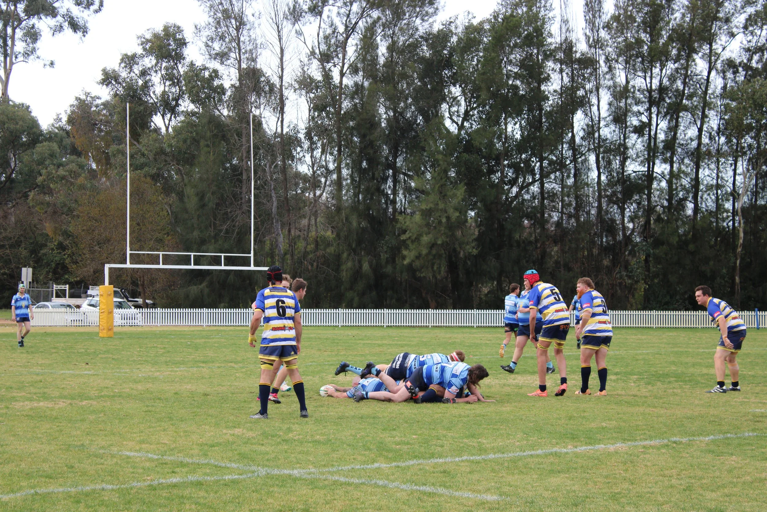 IMG_6845.JPG
