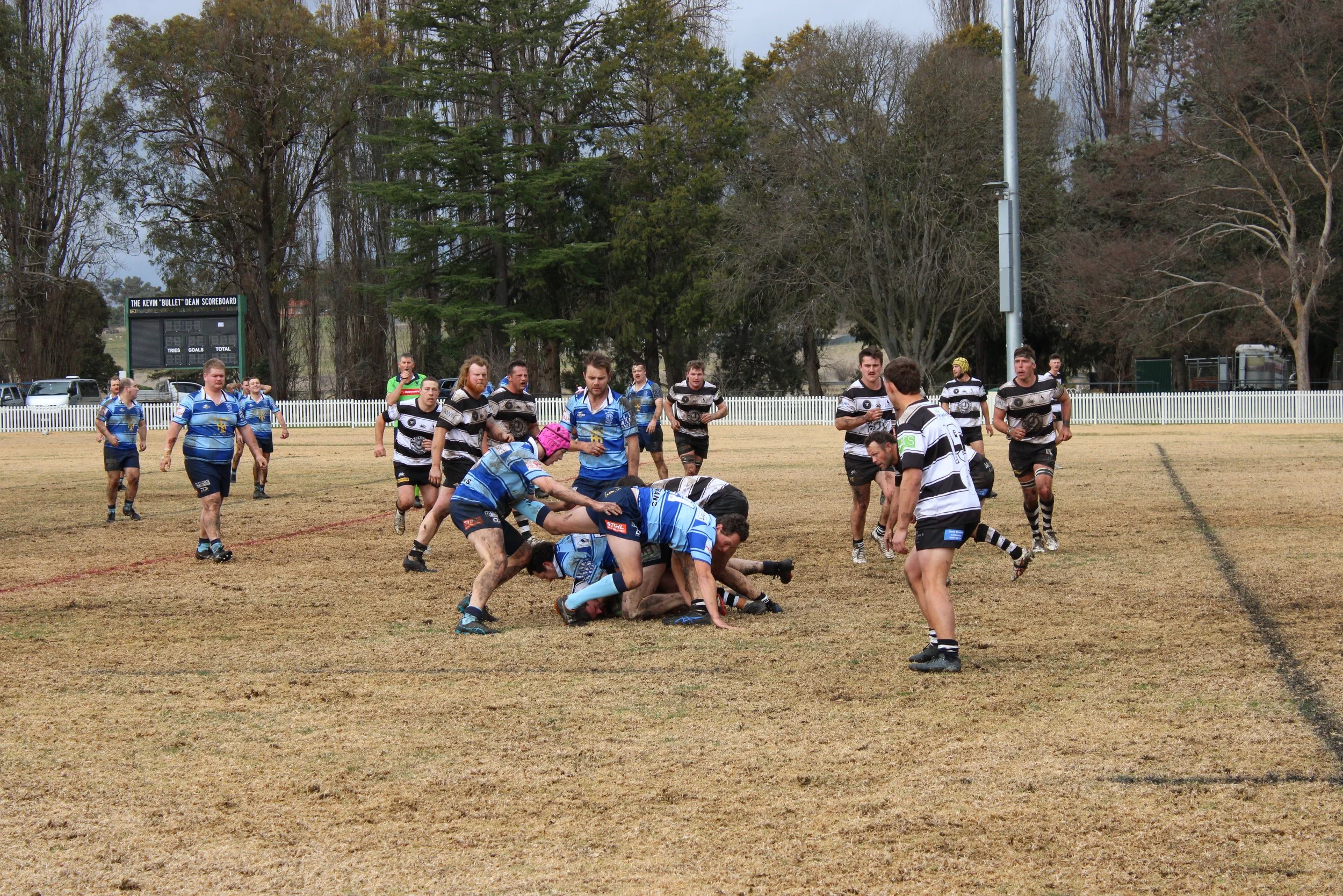 IMG_4309.JPG