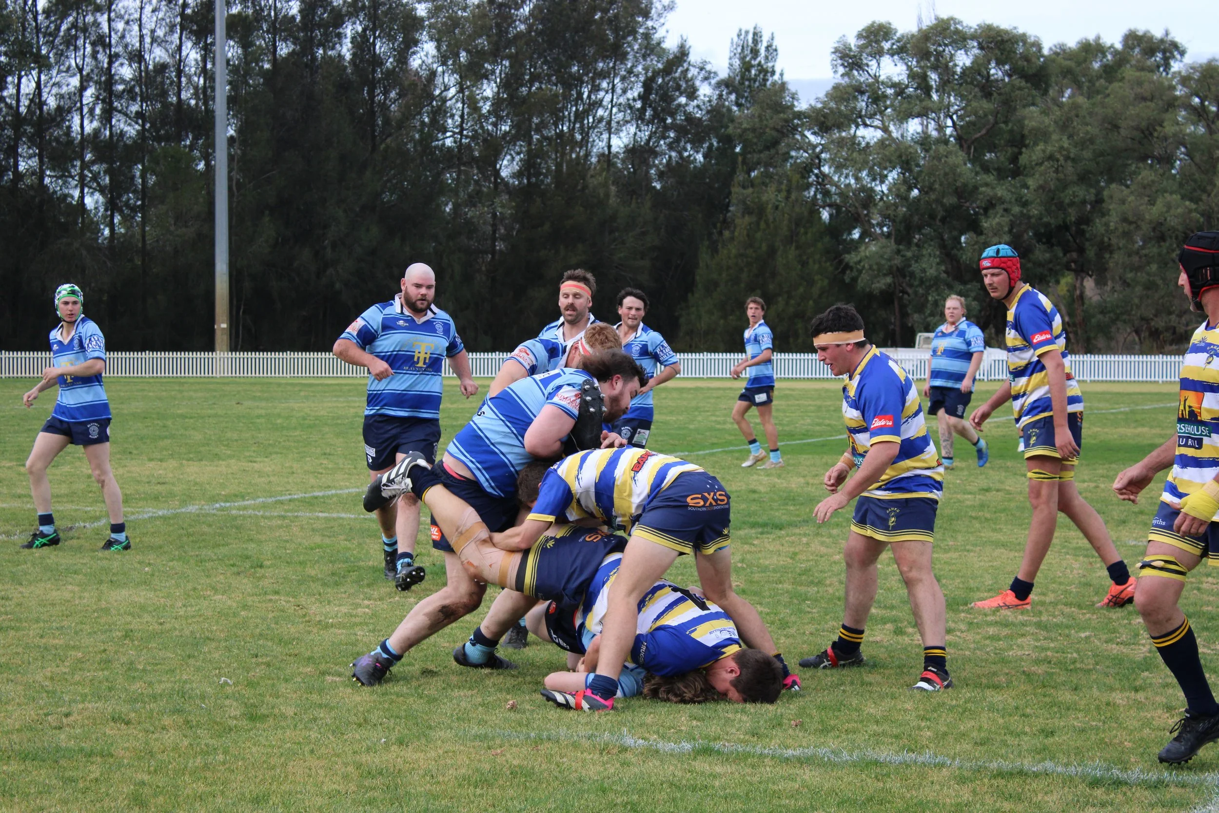 IMG_6859.JPG