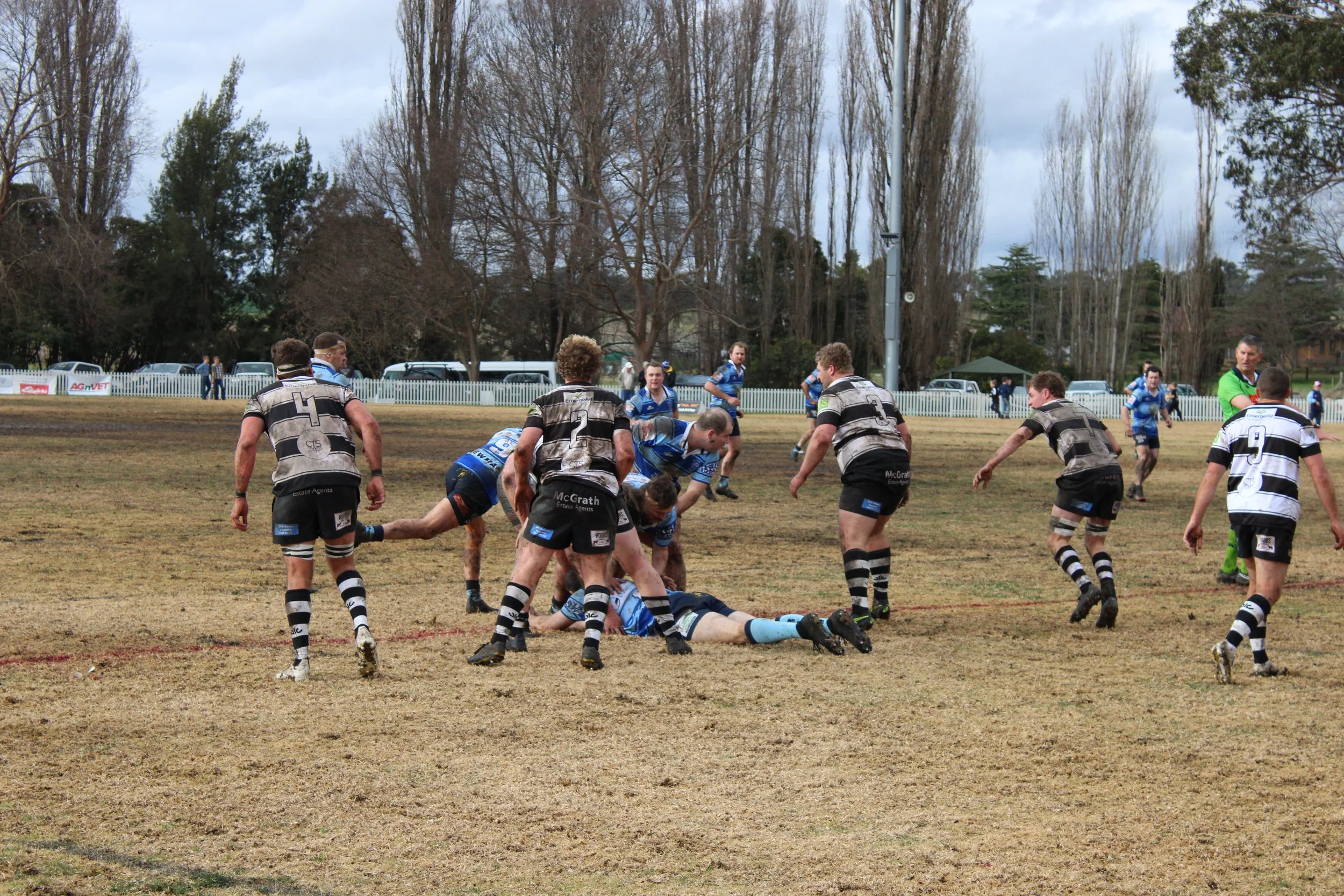 IMG_4276.JPG