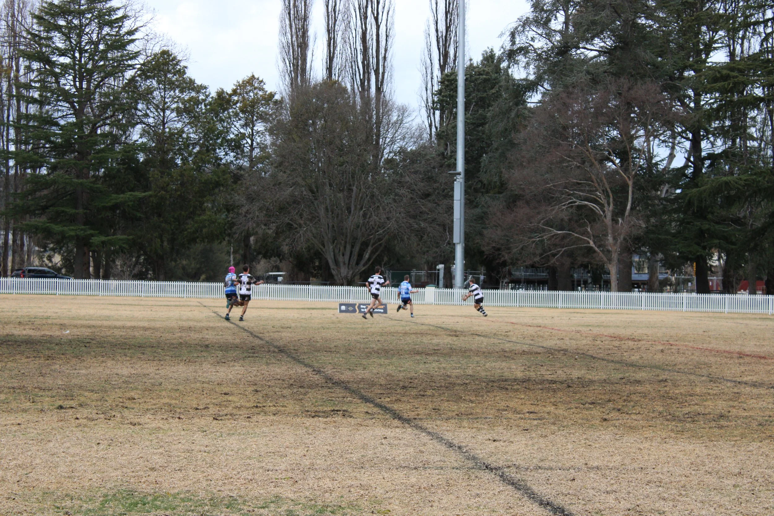 IMG_4390.JPG